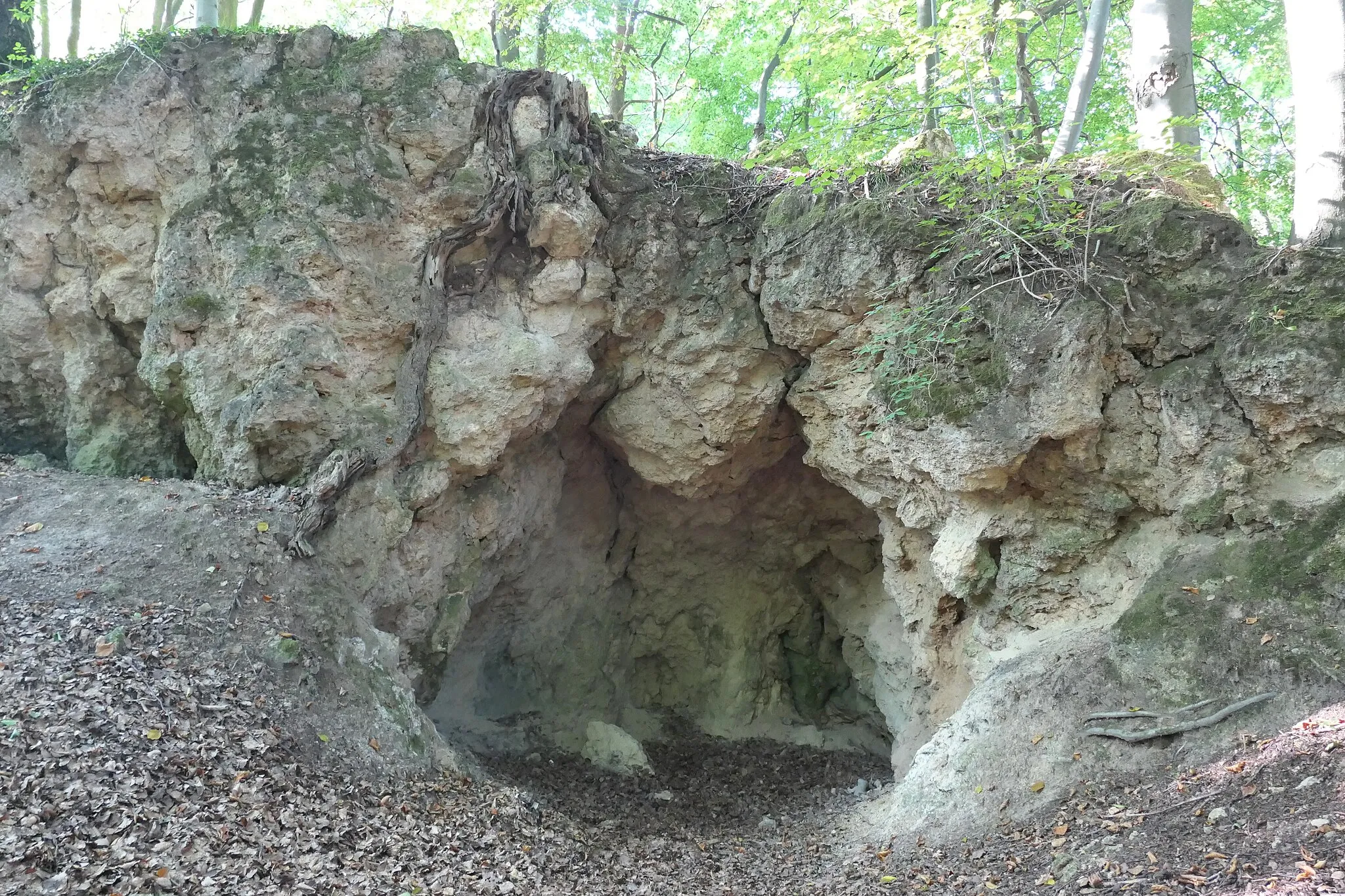 Photo showing: Knots Keller ist eine knapp drei Meter breite und rund zwei Meter hohe Spaltenhöhle in einem Dolomitrücken am Ziegenküppel im Stölzinger Gebirge im nordhessischen Werra-Meißner-Kreis. Im Gipfelbereich des Ziegenküppels treffen die Gemarkungen des Sontraer Stadtteils Thurnhosbach und die der Ortsteile Rechtebach und Burghofen der Stadt Waldkappel aufeinander.