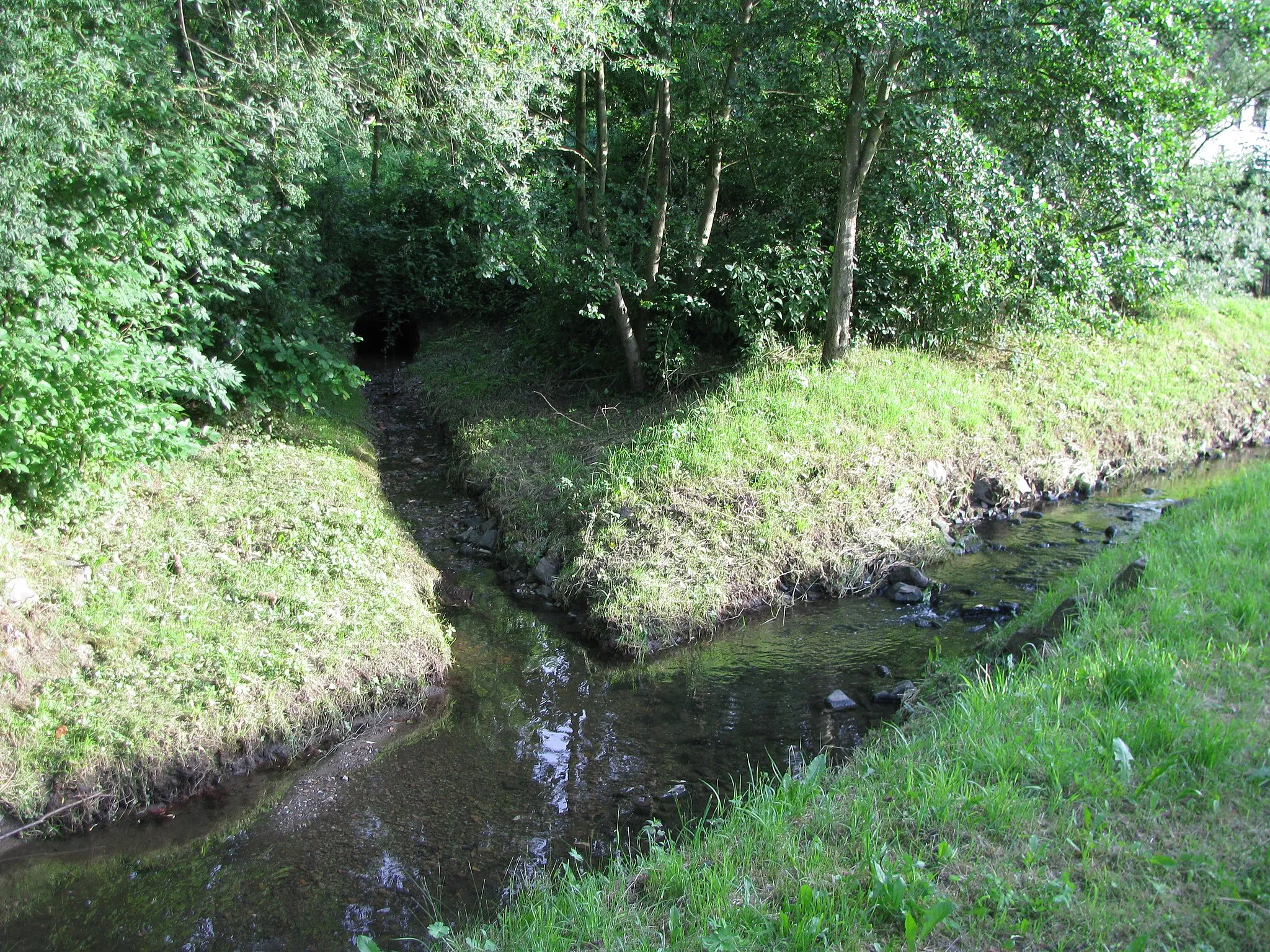 Photo showing: an dieser Stelle mündet der Eselsgraben in den Grunnelbach