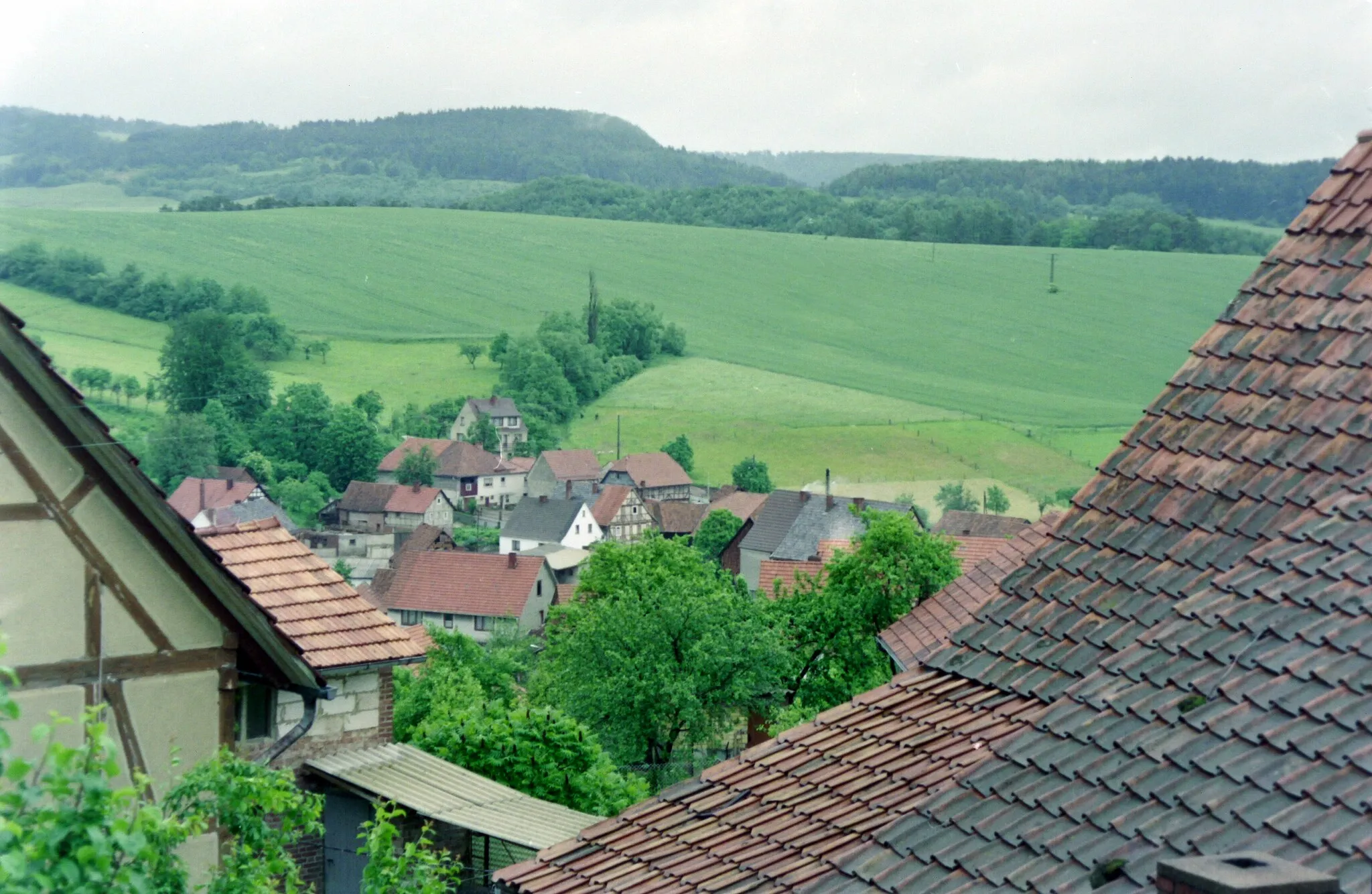 Photo showing: Wiesenfeld, 1991 (im Hintergrund der Hühneberg)