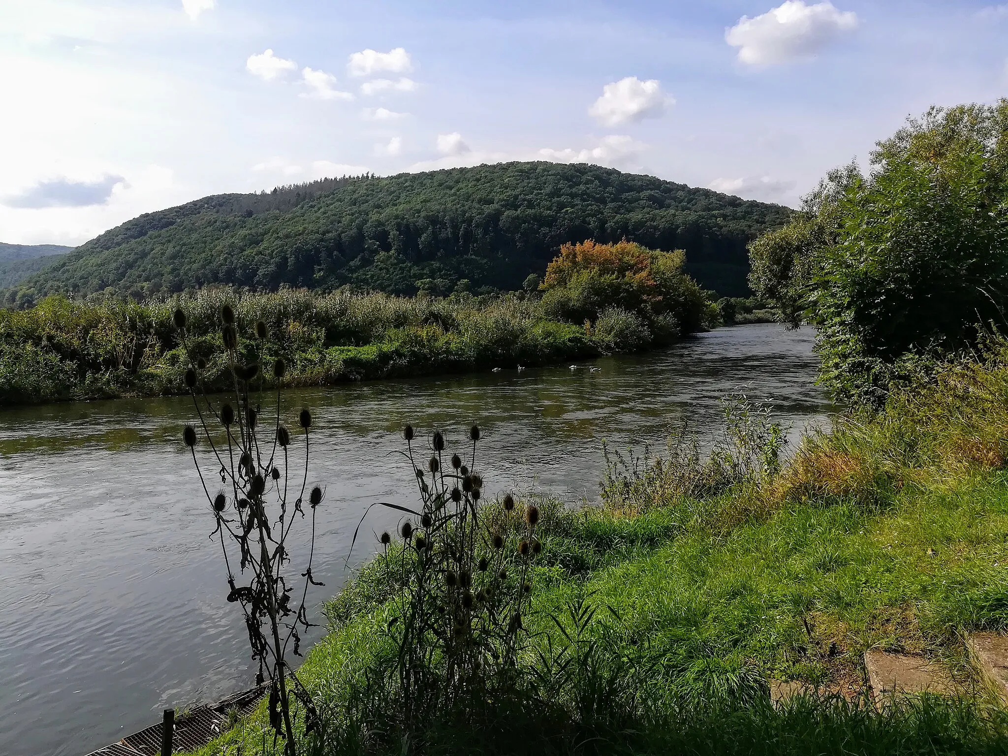 Photo showing: Der Fluss Werra, ein Hauptquellfluss der Weser, in der Gemeinde Wahlhausen im Eichsfeld, Thüringen.