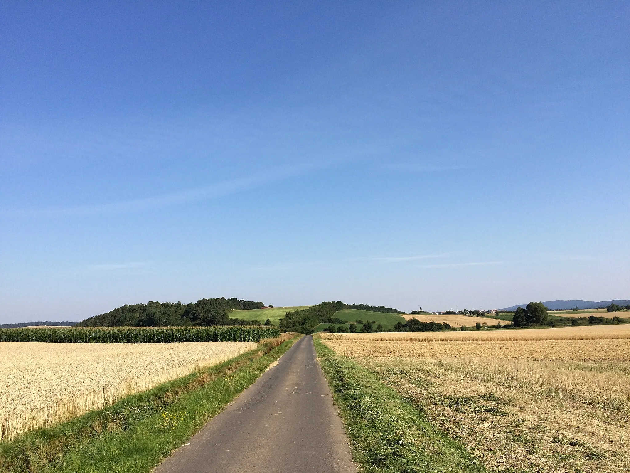 Photo showing: Der Volkmarser Weg (V) zwischen dem Graner Berg und Bründersen auf der Straße "Zum Graner Berg"