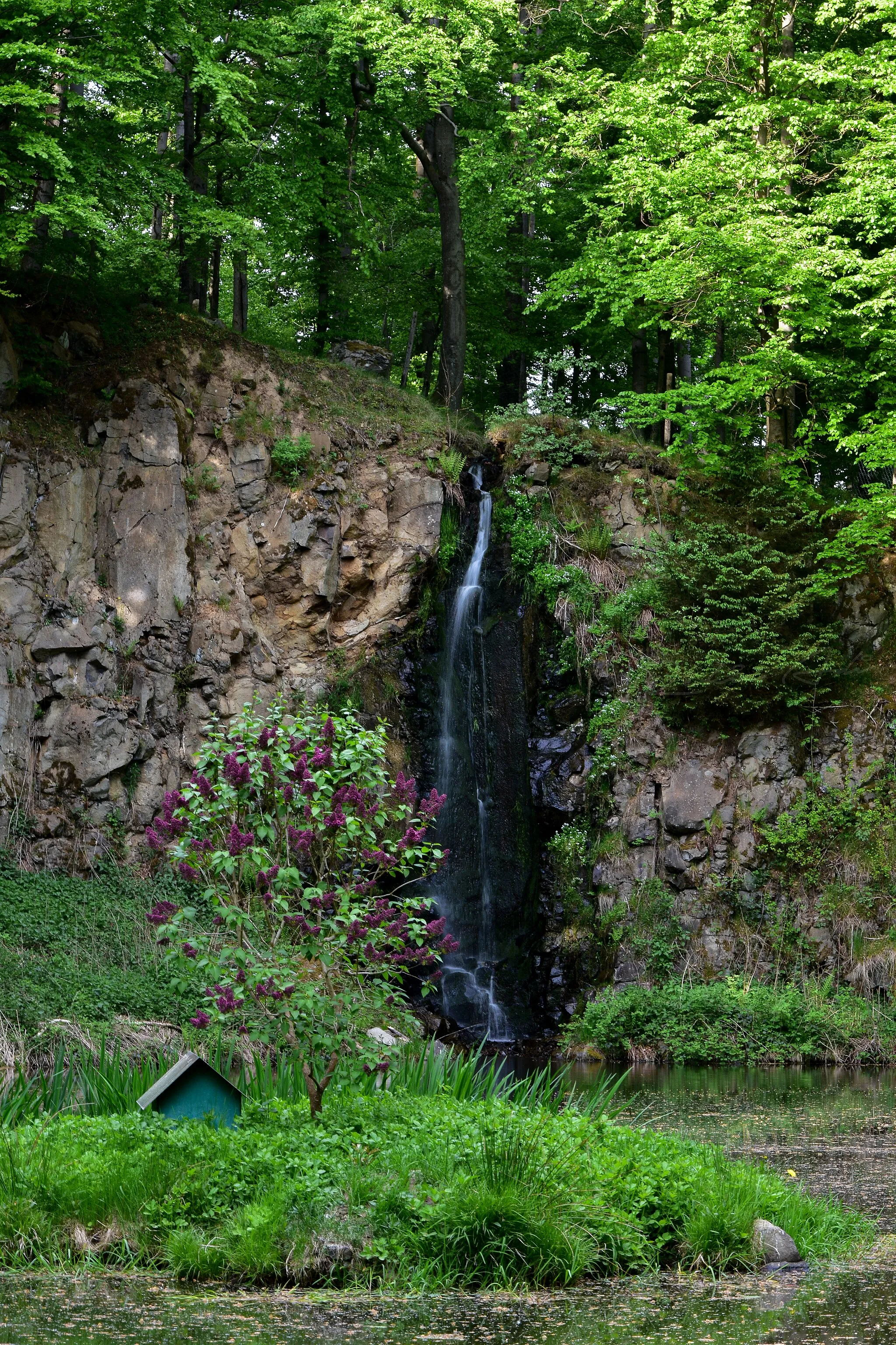 Photo showing: Dort, wo sich der Buchenbach in einer schattigen, engen Schlucht zwischen den Felsen hindurch zwängt, war schon immer ein natürlicher Wasserfall. Direkt davor begann man anfangs der 1920er Jahre in einem kleinen Basaltbruch Steine für den Wegebau abzubauen. Als der Betrieb stillgelegt wurde, verfiel der Bruch nach und nach und wurde als wilde Mülldeponie zweckentfremdet. Mit Beginn der Flurneuordnung in Christerode in 1971 wurde der Plan entworfen, diesen ehemaligen Steinbruch zu einem kleinen Weiher auszubauen.  Als Wasserzuführung wurde ein ebenfalls verfallener Bewässerungsgraben erneuert. So entstand der heutige Wasserfall, der über eine etwa 11 m hohe Steilwand in den Weiher fällt.  Die Wasserfallhütte wurde von den Christeröder Bürgern in Eigenleistung errichtet. Die gesamte Anlage wurde in 1974 in Betrieb genommen und wird seither durch den ansässigen Angelverein unterhalten und gepflegt.