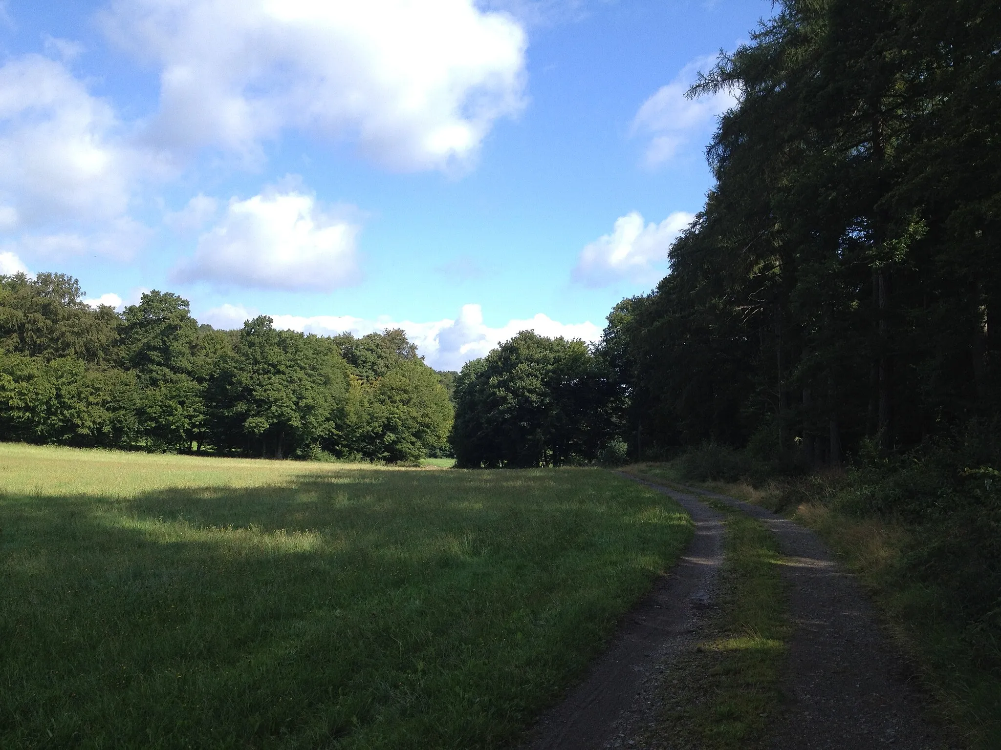 Photo showing: Der Hessische Radfernweg R5 zwischen Braunau und Bergfreiheit