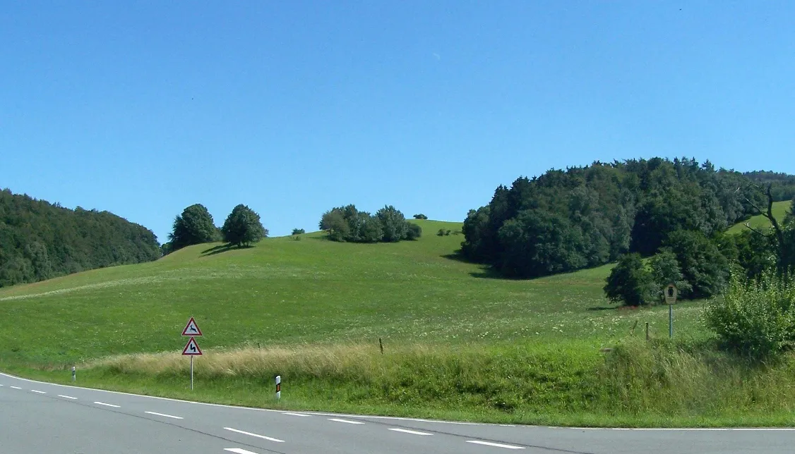 Photo showing: Naturschutzgebiet am Klauenberg bei Fischbach (Emsetal).
