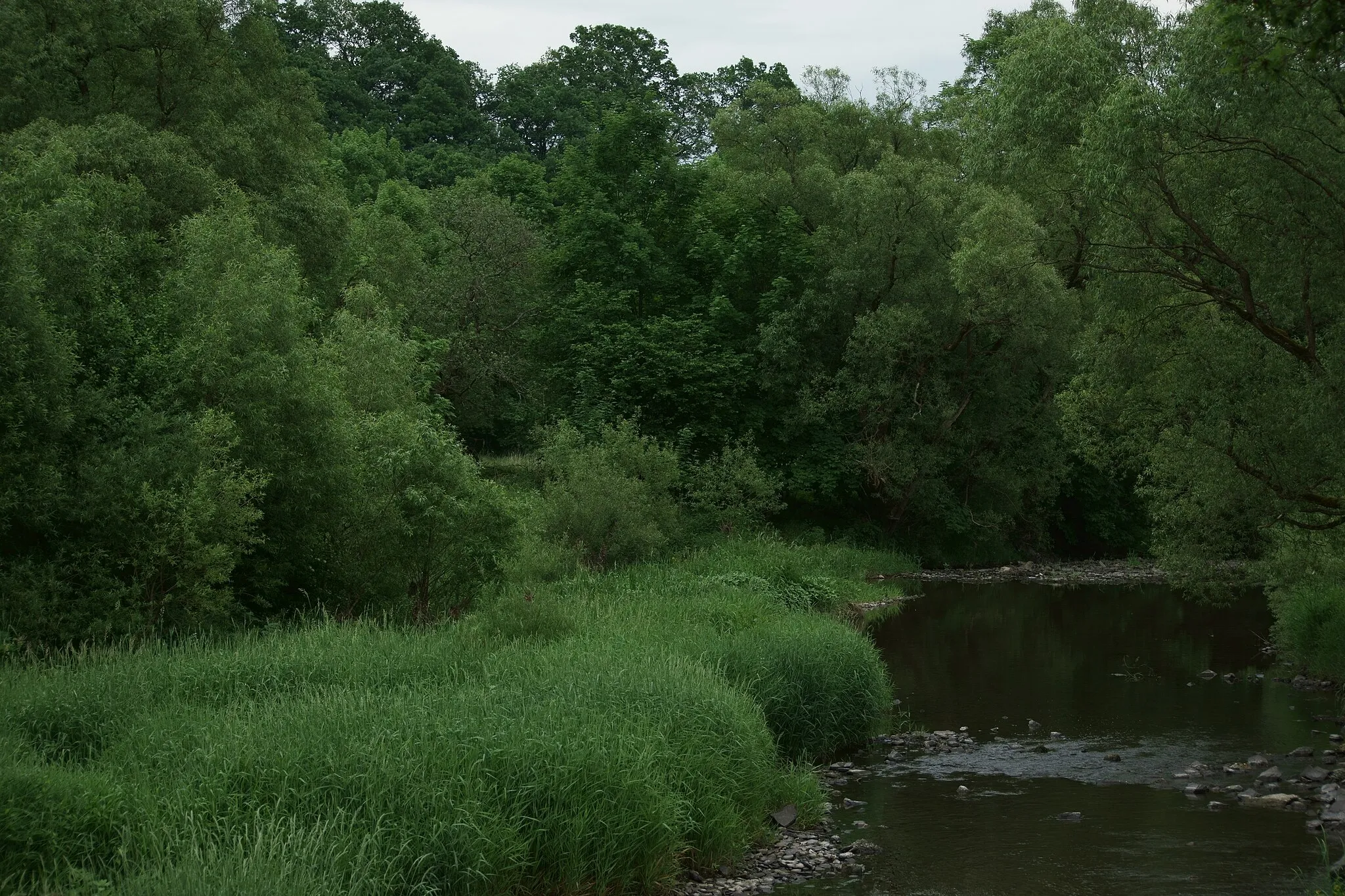 Photo showing: Blick vom Wehr in das Naturschutzgebiet „Ederknie am Auhammer bei Battenberg“