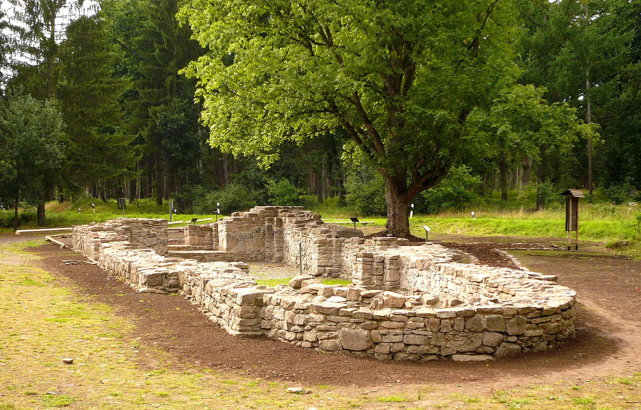 Photo showing: Kirchenruine der Wüstung Winnefeld im Solling, erbaut 2. Hälfte 12. Jahrhundert