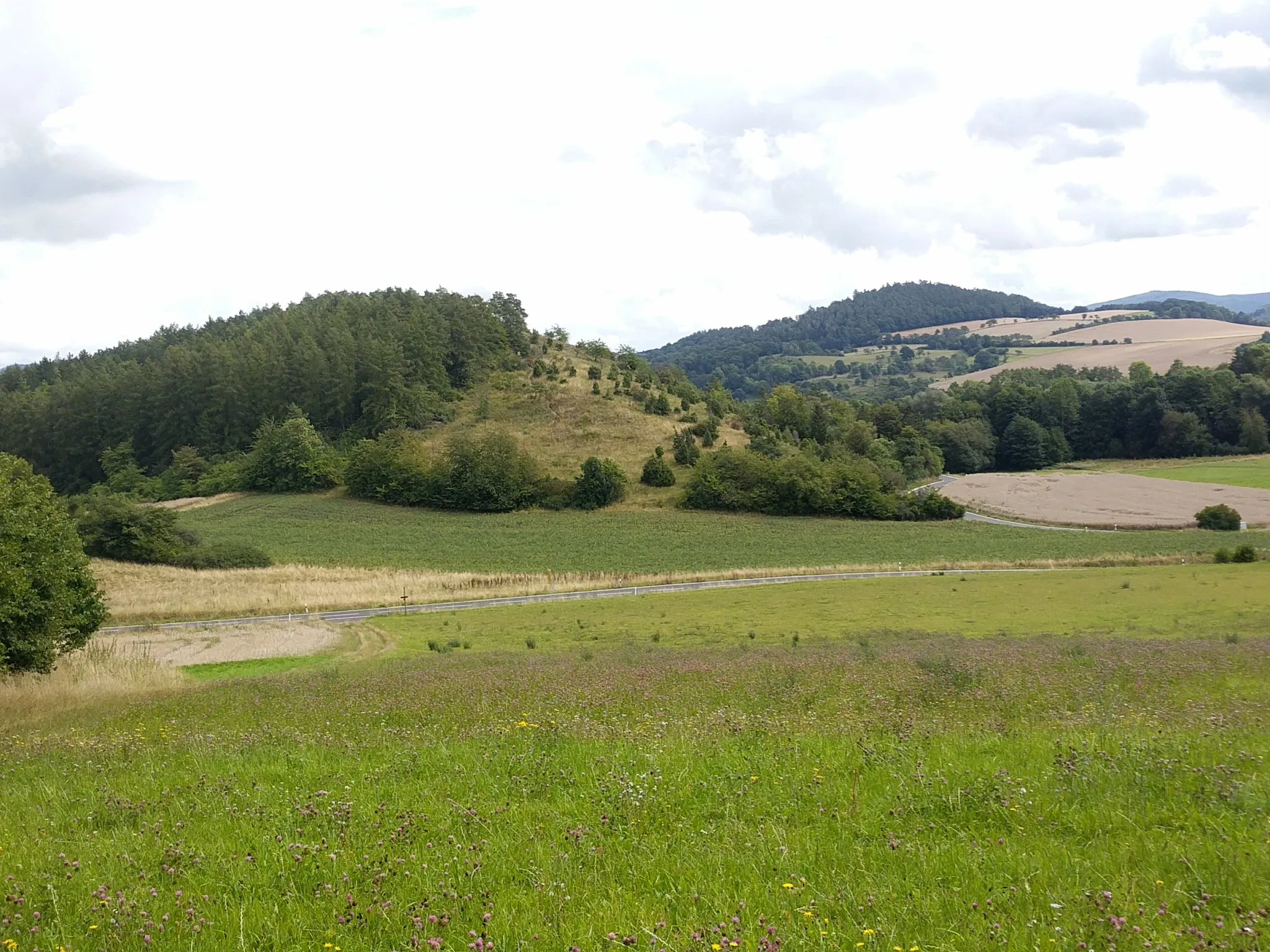 Photo showing: Ansicht des Hesselberges bei Ellingerode von Westen, auf der Südseite des Berges sieht man den Kalkmagerrasen