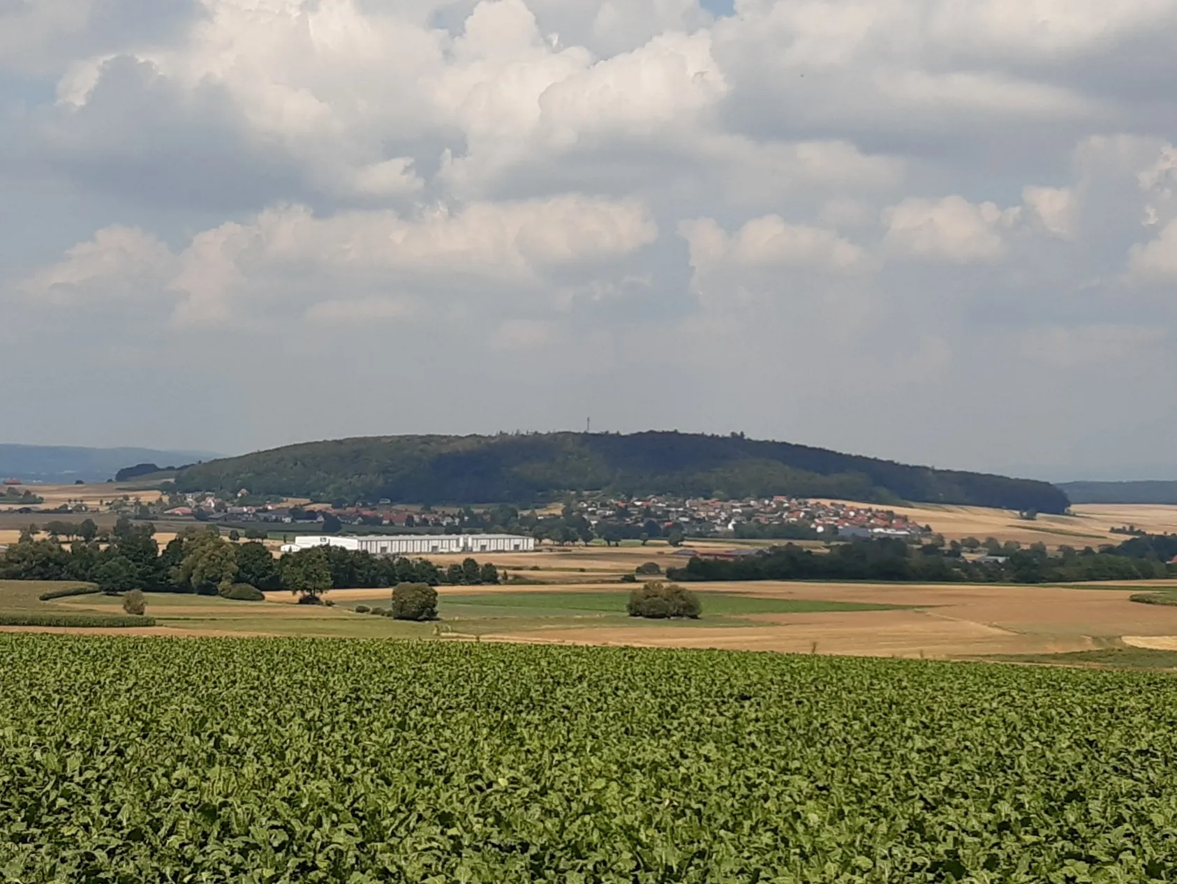 Photo showing: Blick auf den Sendberg bei Frielendorf vom Spießturm aus südlicher Richtung. Zu sehen ist das Dorf Todenhausen, das Südhang des Sendbergs liegt und das Gewerbegebiet der Gemeinde Frielendorf an der B 254.