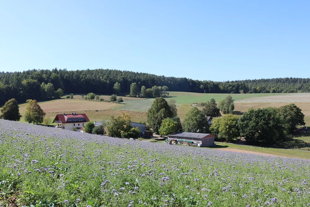 Photo showing: Die Aussiedlerhöfe Linden- und Hermeshof in Giesel