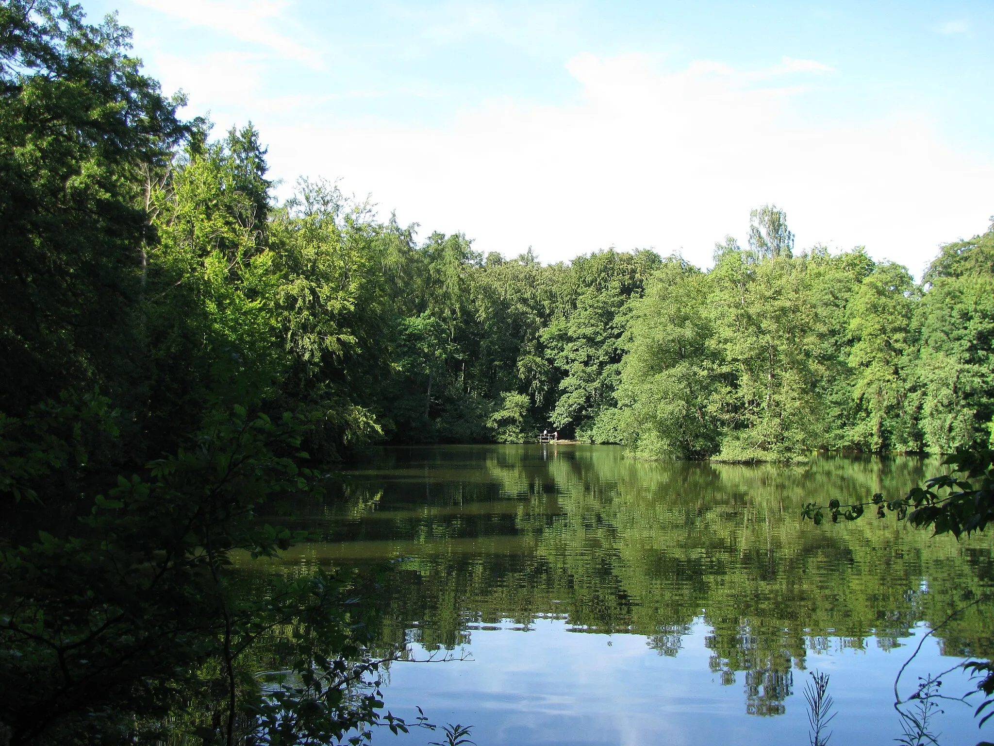 Photo showing: Blick auf den Asch(-see)