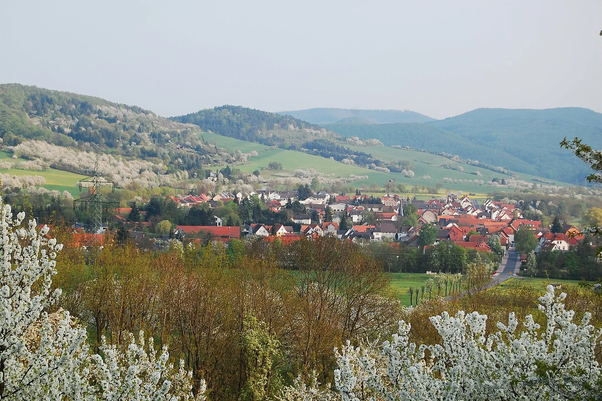 Photo showing: Witzenhausen - Unterrieden während der Kirschblüte (Blick nach Süden: links vermutlich die Ebenhöhe und Liebenberg, im Hintergrund Schnellerskopf und Roßkopf)