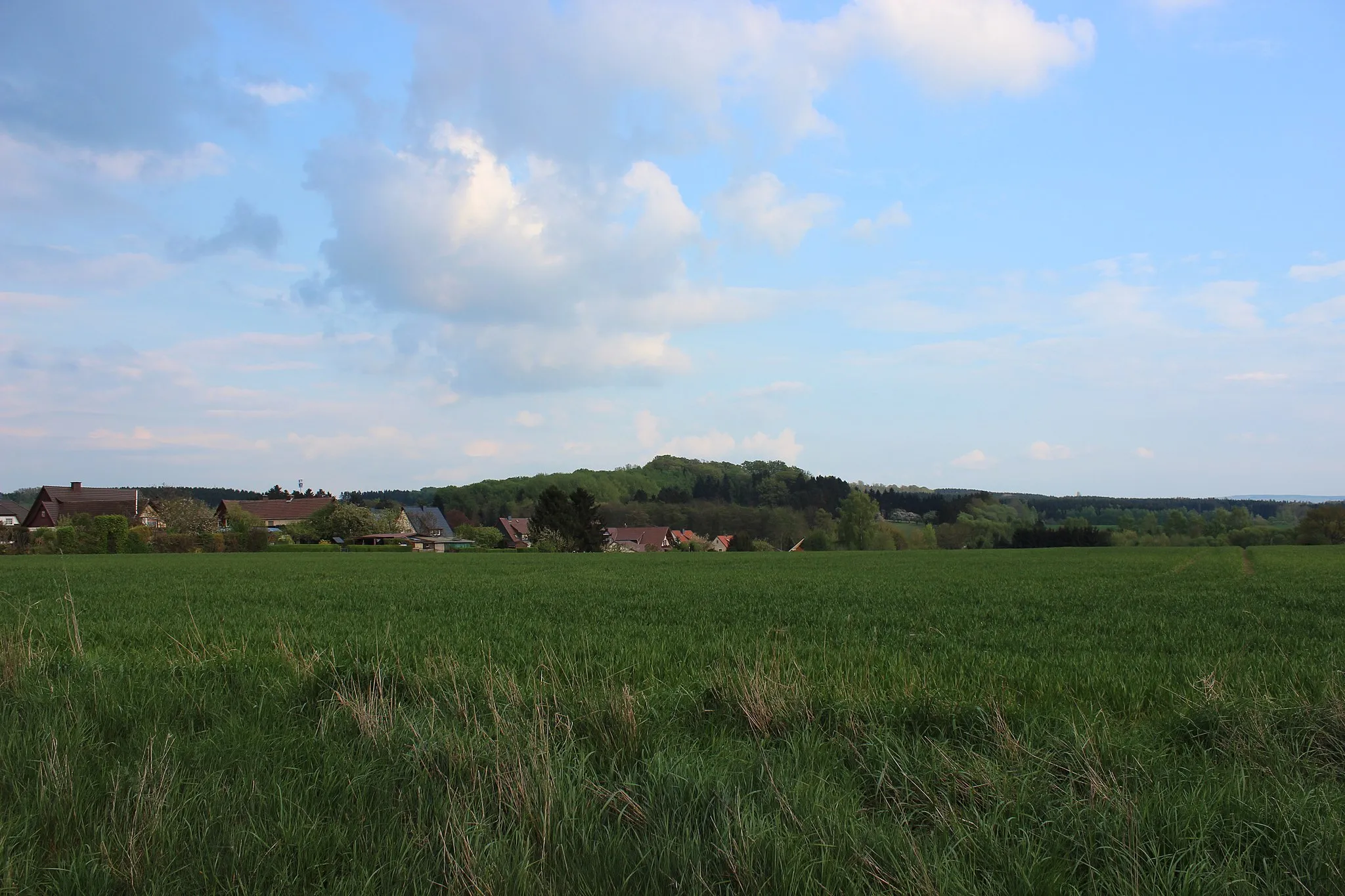 Photo showing: Kleiner Staufenberg, Naturpark Münden, Lower Saxony, Germany