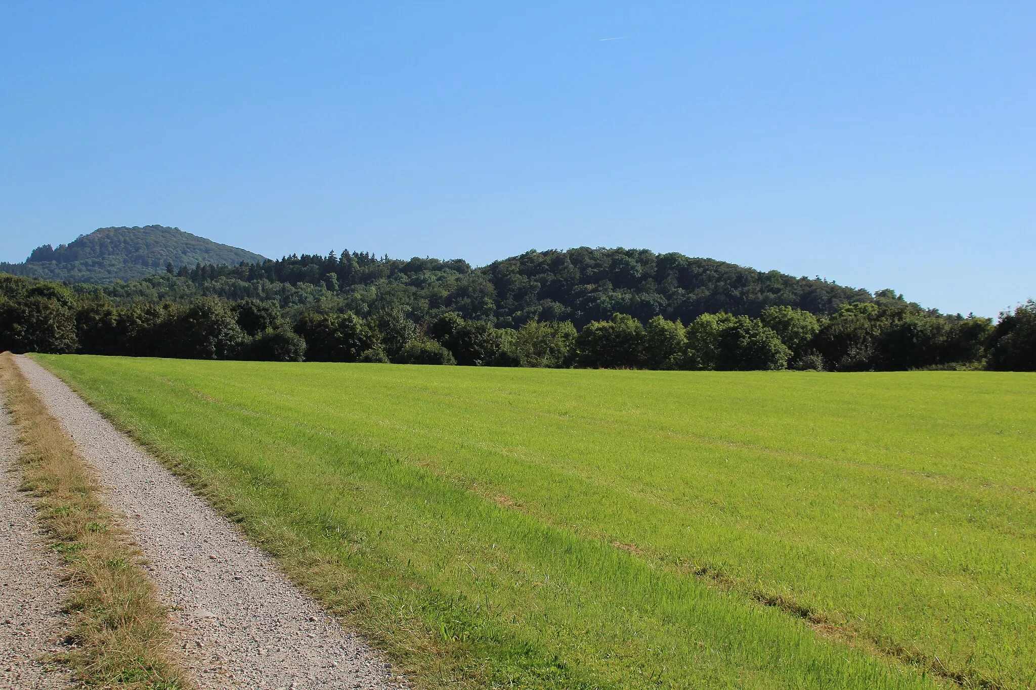 Photo showing: Blick von einem Weg südlich von Elters südwärts zum großen und kleinen Ziegenkopf. Links dahinter die Milseburg. Milseburger Kuppenrhön, Hessen