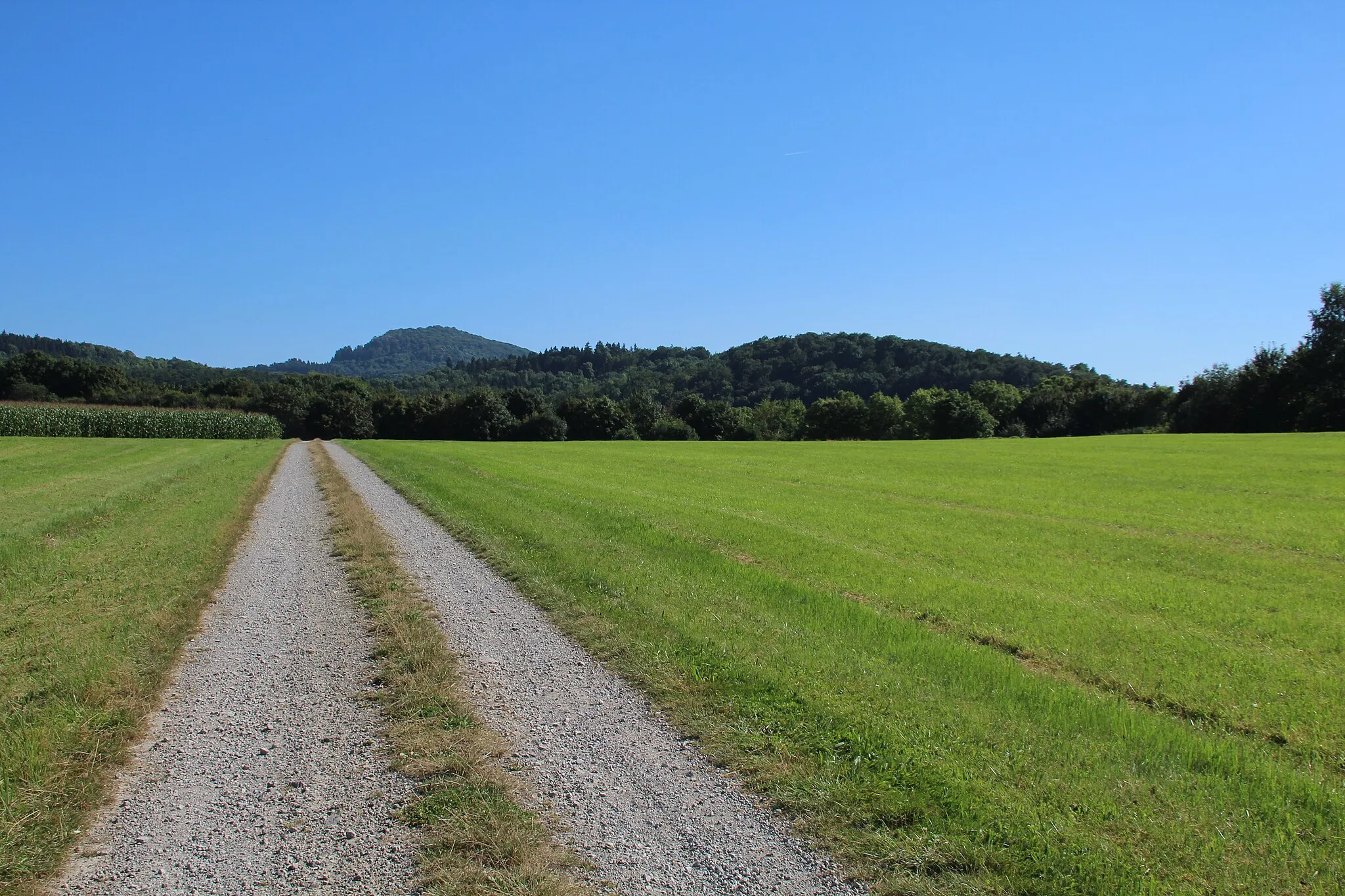 Photo showing: Blick von einem Weg südlich von Elters südwärts zum großen und kleinen Ziegenkopf. Links dahinter die Milseburg. Milseburger Kuppenrhön, Hessen