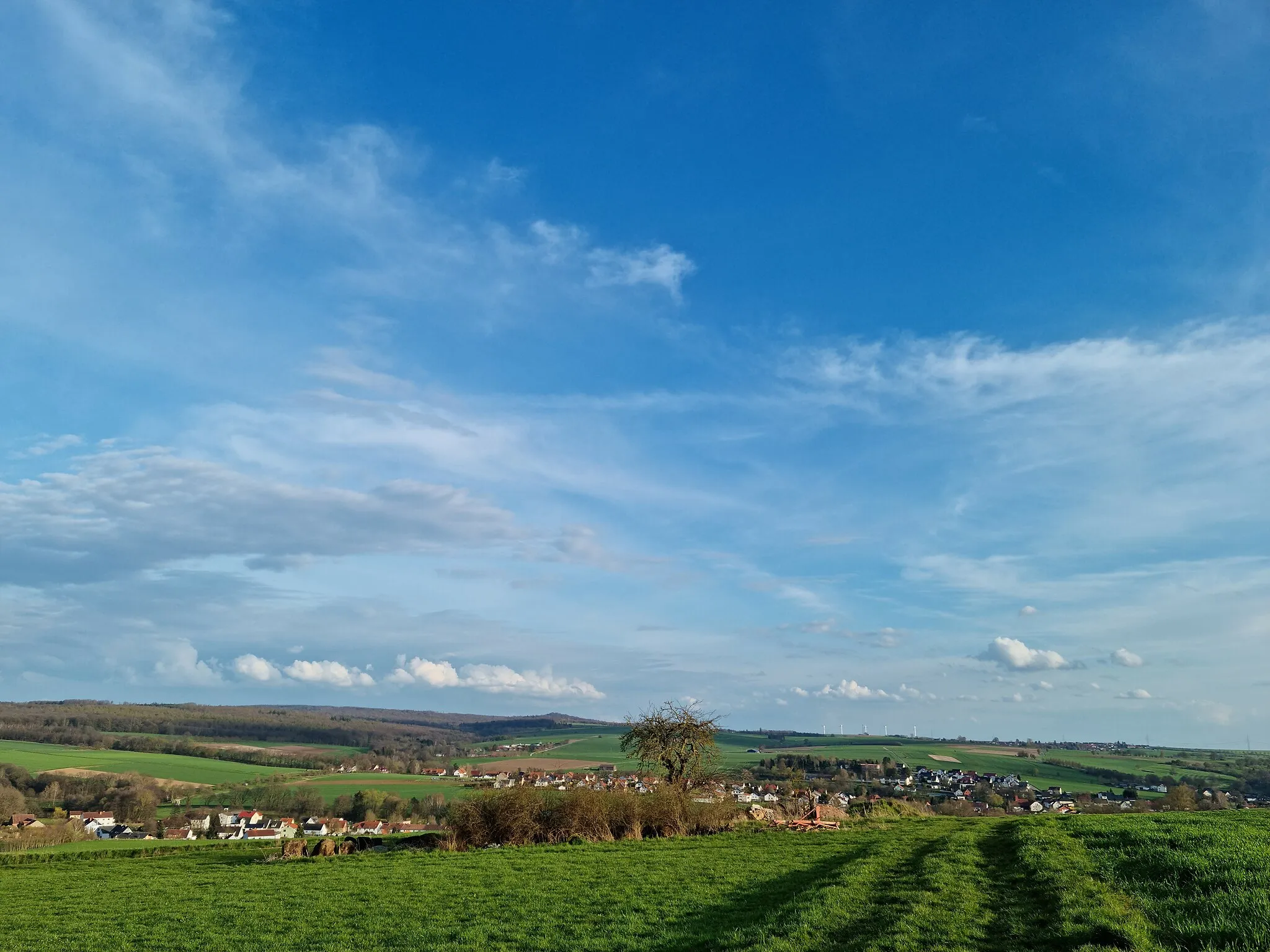 Photo showing: Felder von Hombressen auf dem Warthügel, Blick über das Lempetal zum Reinhardswald