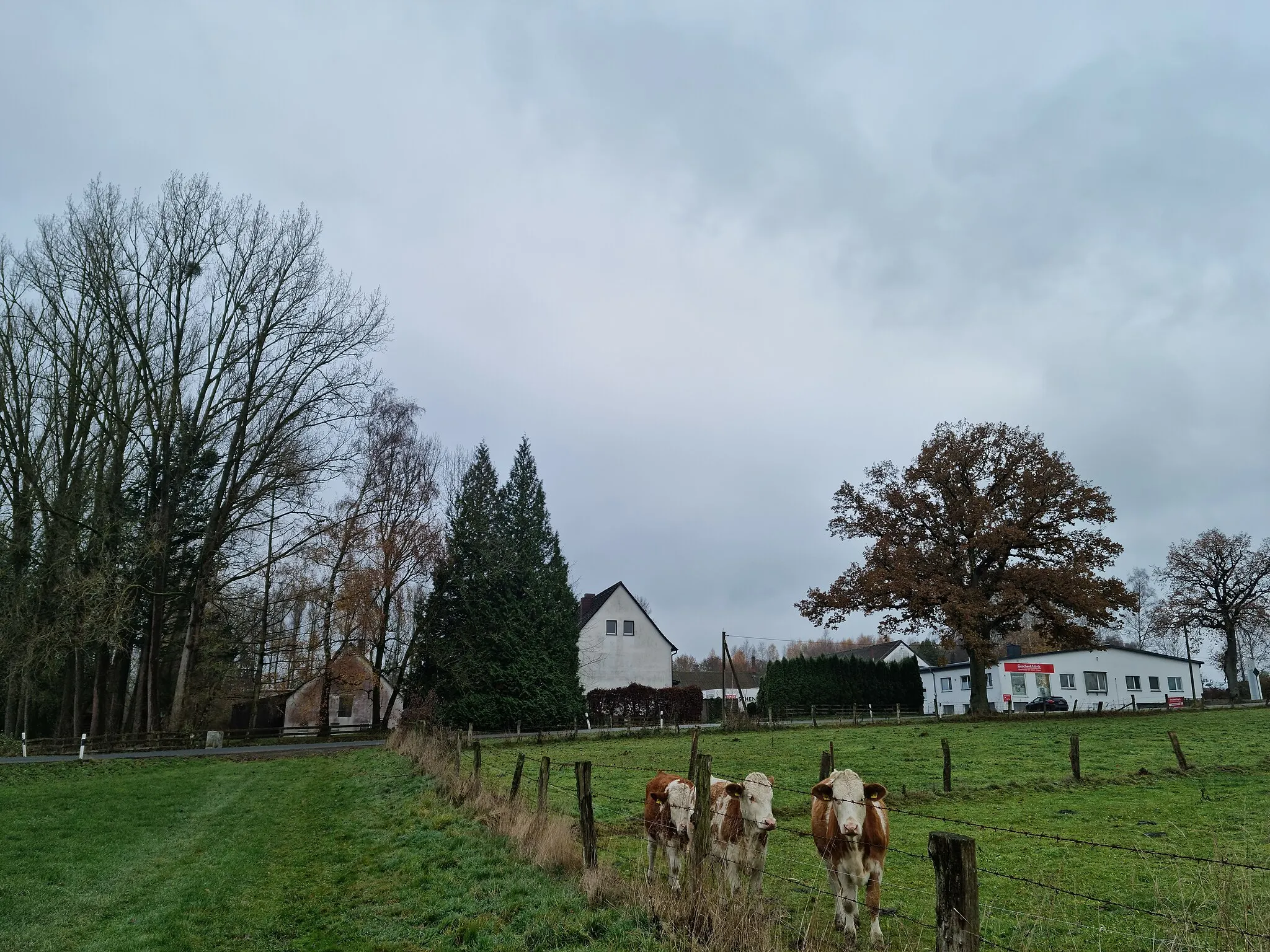 Photo showing: Soodetal, Weg westlich der Soode zwischen Kaiserteich und Mariendorf, erstes Gebäude von Mariendorf an der Veckerhagener Straße 1 (Landesstraße 3229), laut Aufschrift eine Geschenkfabrik