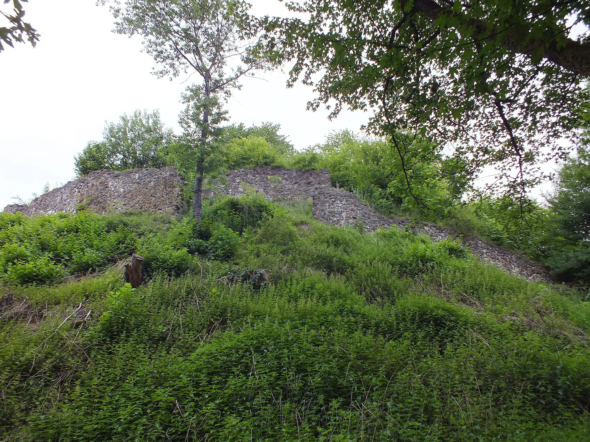 Photo showing: Bei Grabungen freigelegte Mauerreste der Burgruine Schauenburg