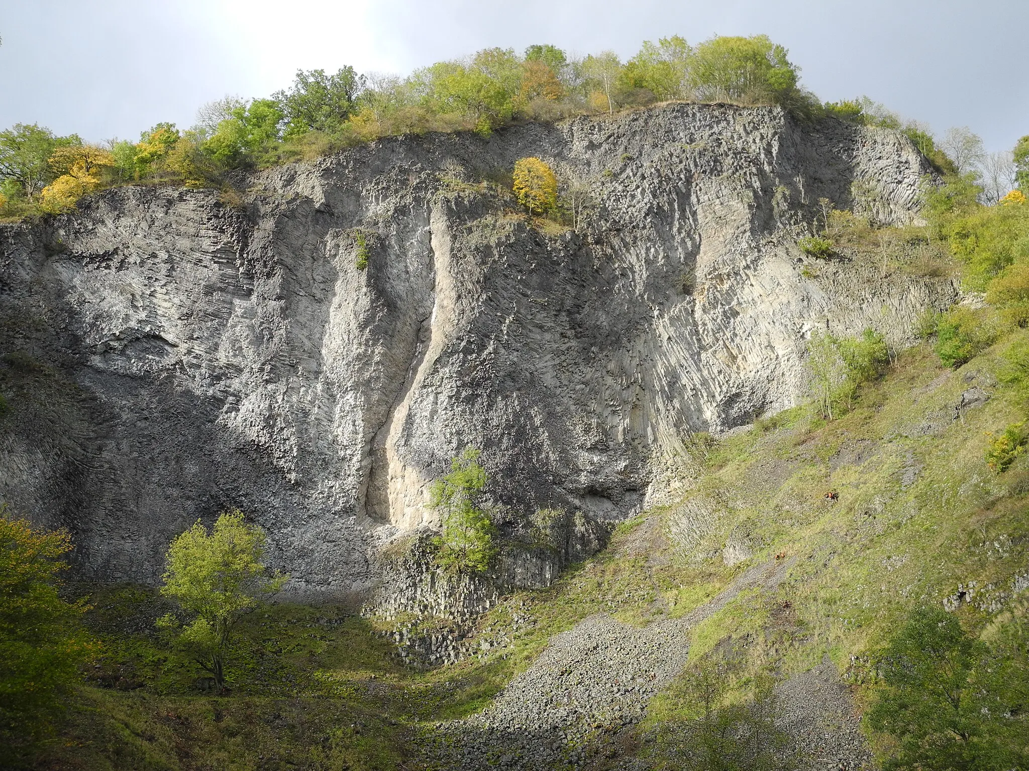 Photo showing: Naturschutzgebiet im Regierungsbezirk Kassel 1611001. „Hirzstein“ am südwestlichen Stadtrand von Kassel. Südbereich mit Steilwand eines aufgelassenen Basaltsteinbruchs.