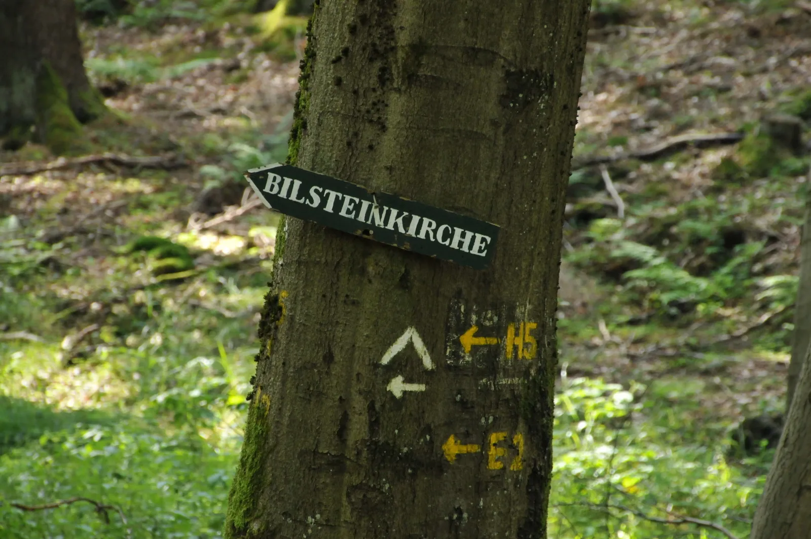 Photo showing: Wanderwegweiser bei Helsa
