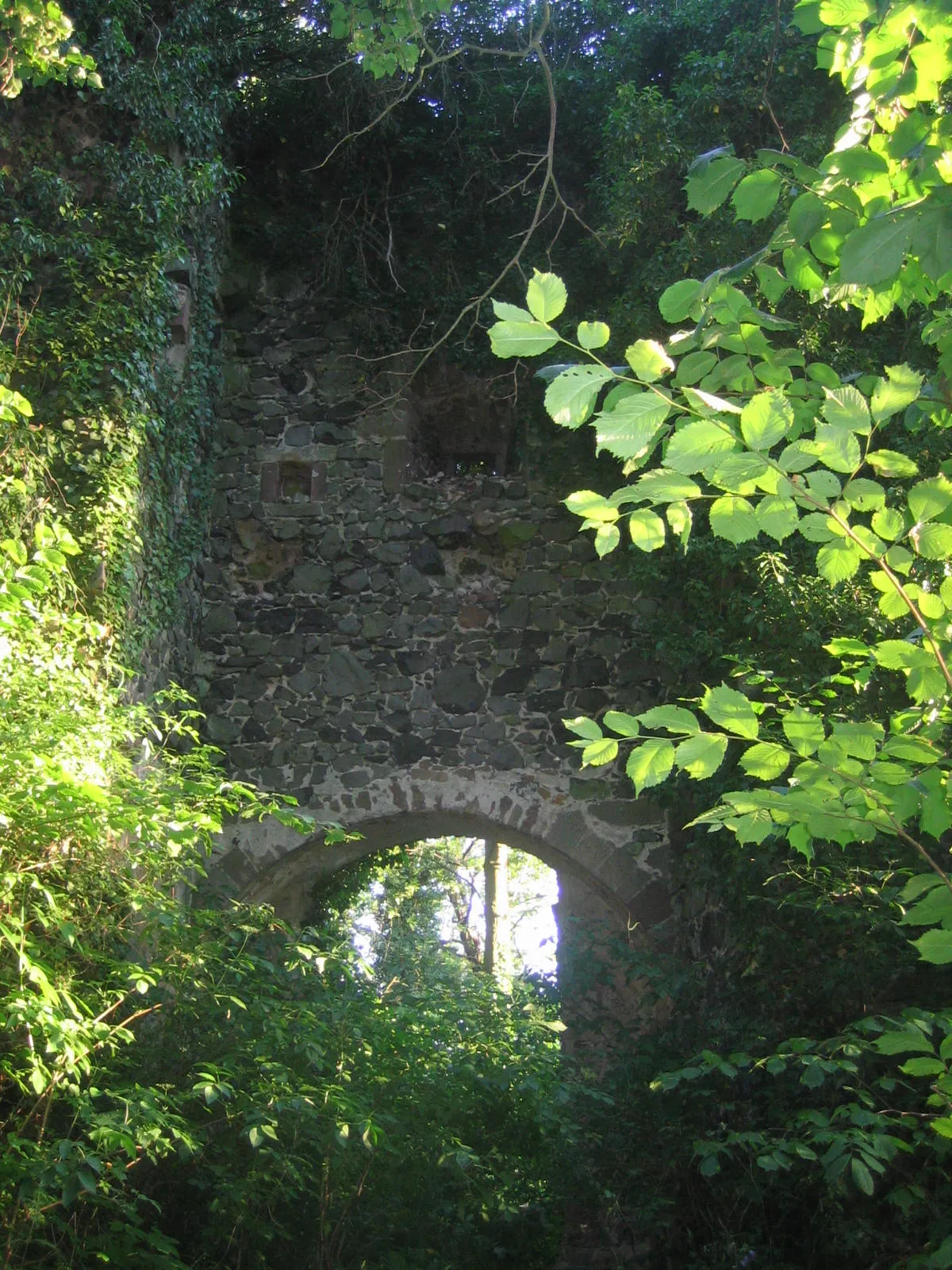 Photo showing: Burgruine Falkenberg bei Homberg an der Efze in Nordhessen