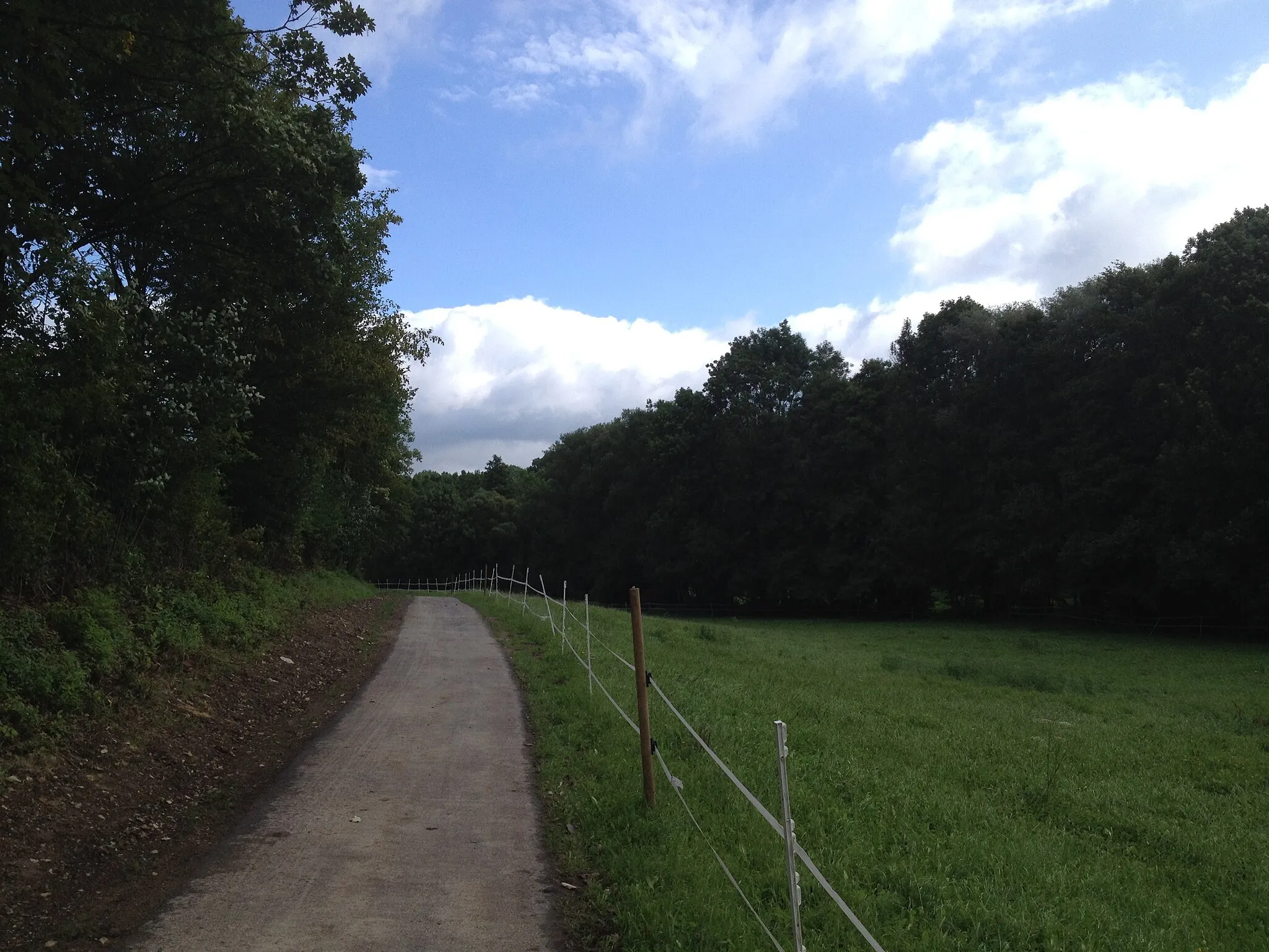 Photo showing: Herkules-Wartburg-Radweg Alternativstrecke und Meißner-Radrundtour auf einem asphaltierten Wirtschaftsweg zwischen Uengsterode und Trubenhausen (entlang L 3238)