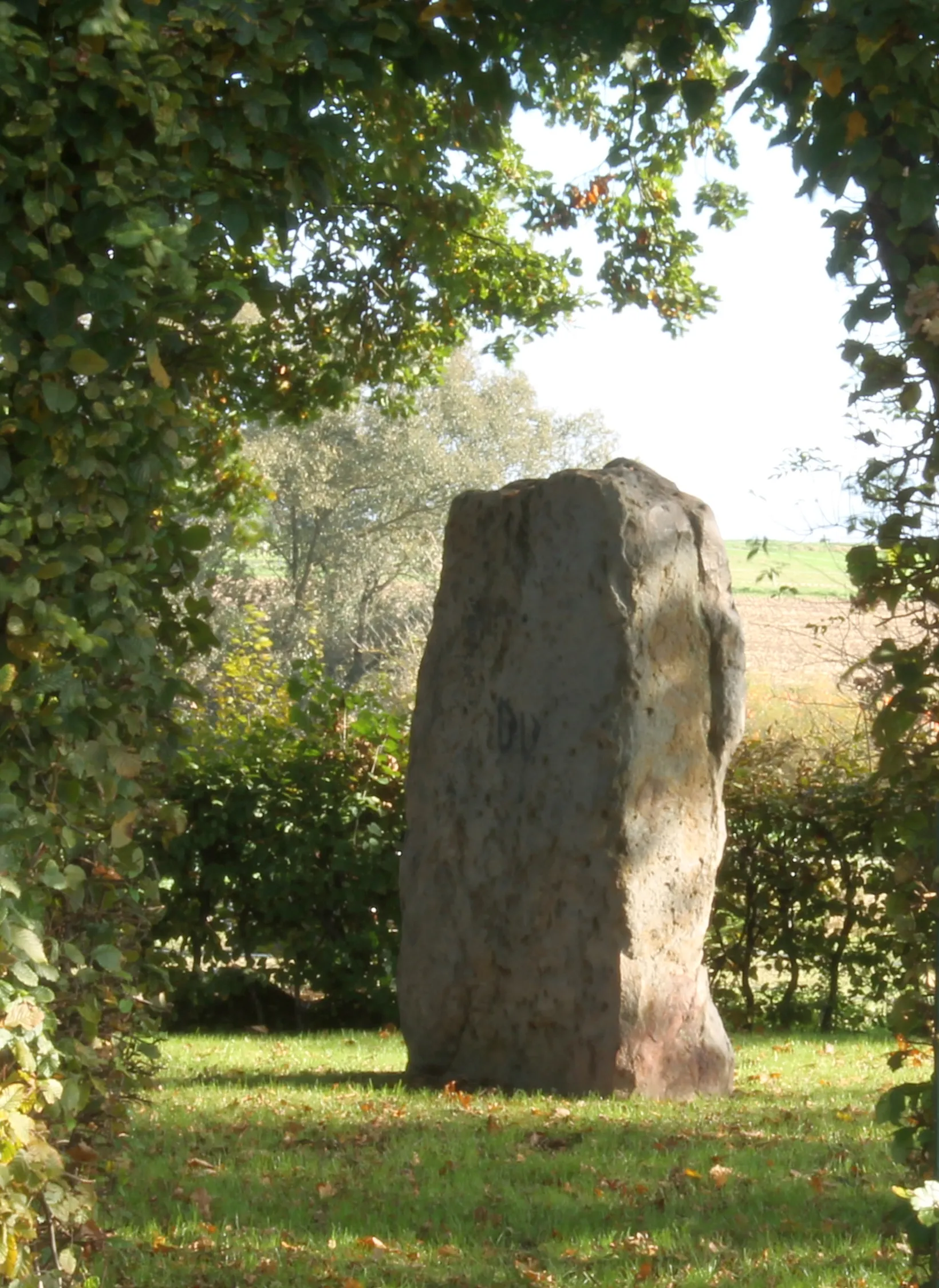 Photo showing: The Wotanstein, a megalith near Maden, Hesse