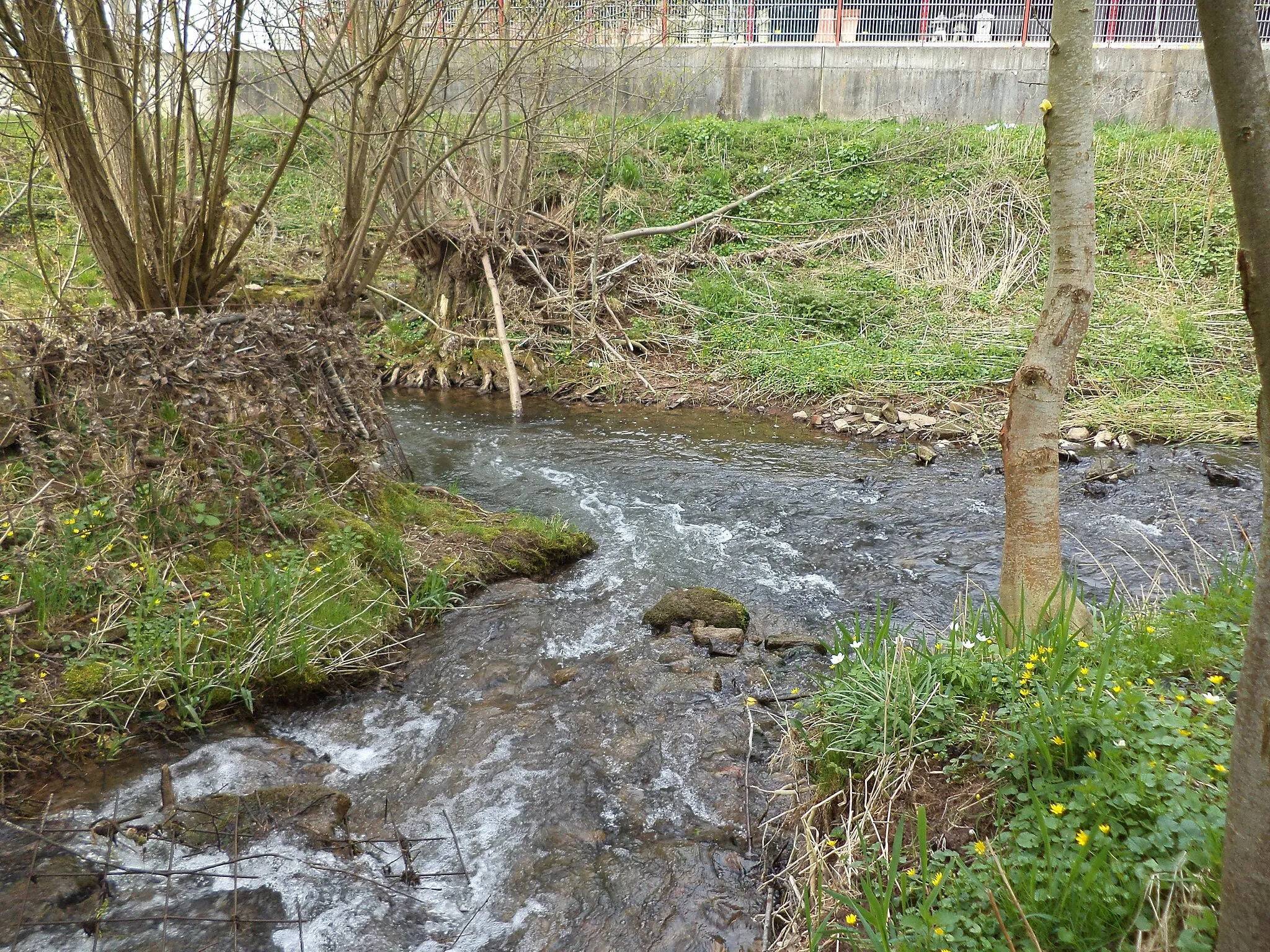 Photo showing: Der Ahlersbach (vorne) mündet in Schlüchtern-Herolz in den linken Arm der Kinzig (von rechts nach links)