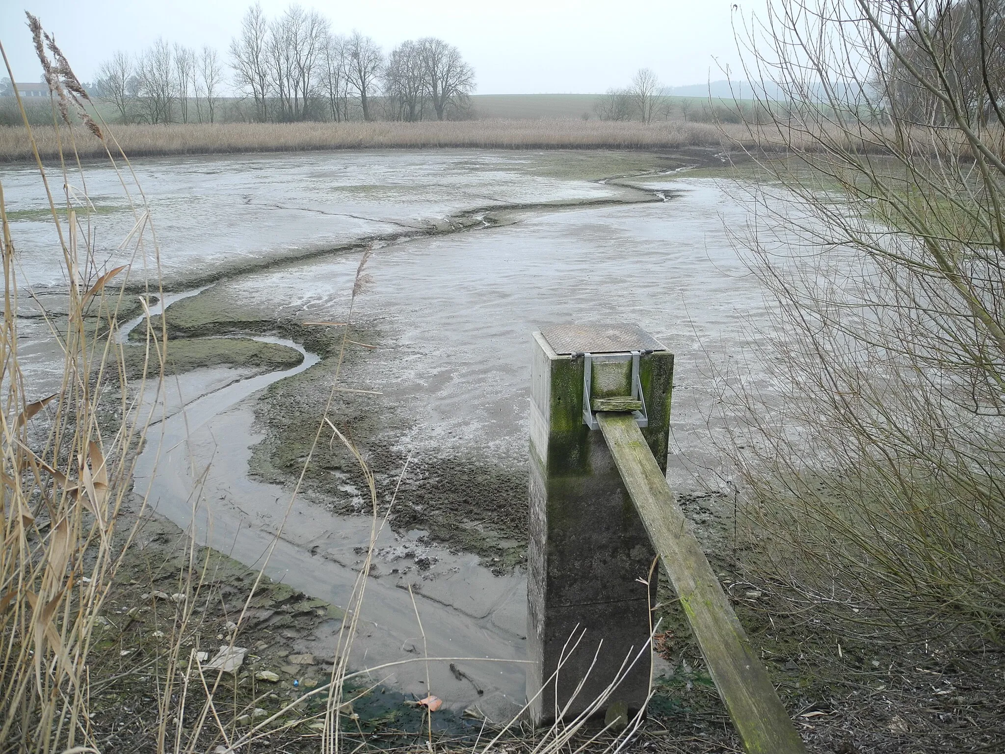 Photo showing: Naturschutzgebiet im Regierungsbezirk Kassel 1633005. „Kelzer Teiche“, 2 historische Fischteiche mit Bachläufen und Röhricht, Grünland und Bäumen, östlich von Kelze im Landkreis Kassel, Hessen, Deutschland.
Entleerter Unterer Kelzer Teich.