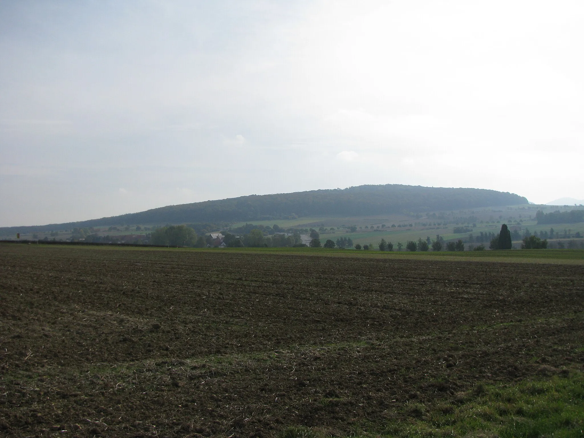 Photo showing: Blick von Nordwesten über Niederlistingen hinweg auf den Berg Igelsbett