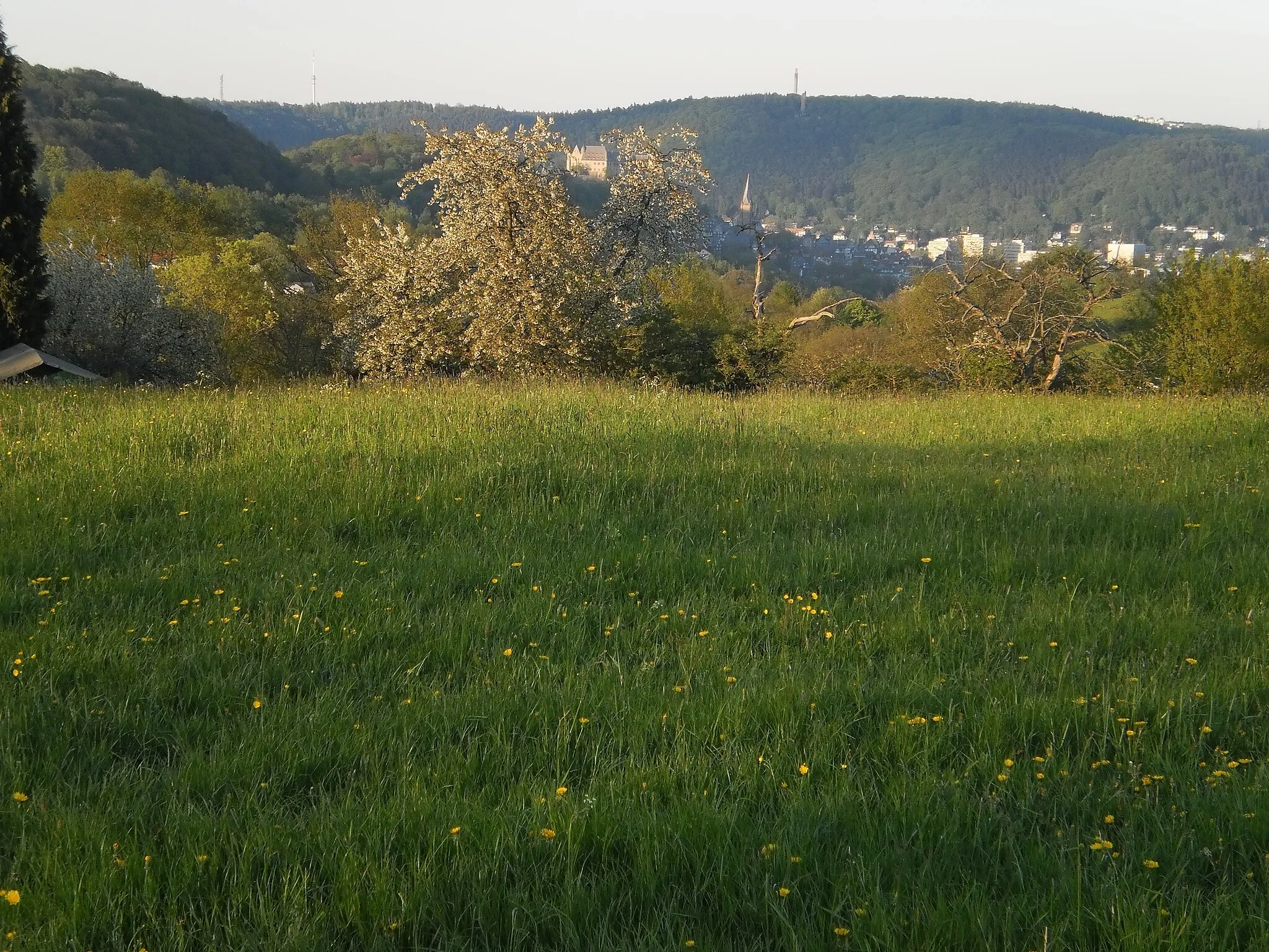 Photo showing: Spring in Marburg, trees around of hill Hasenkopf and a view to the castle of the city.