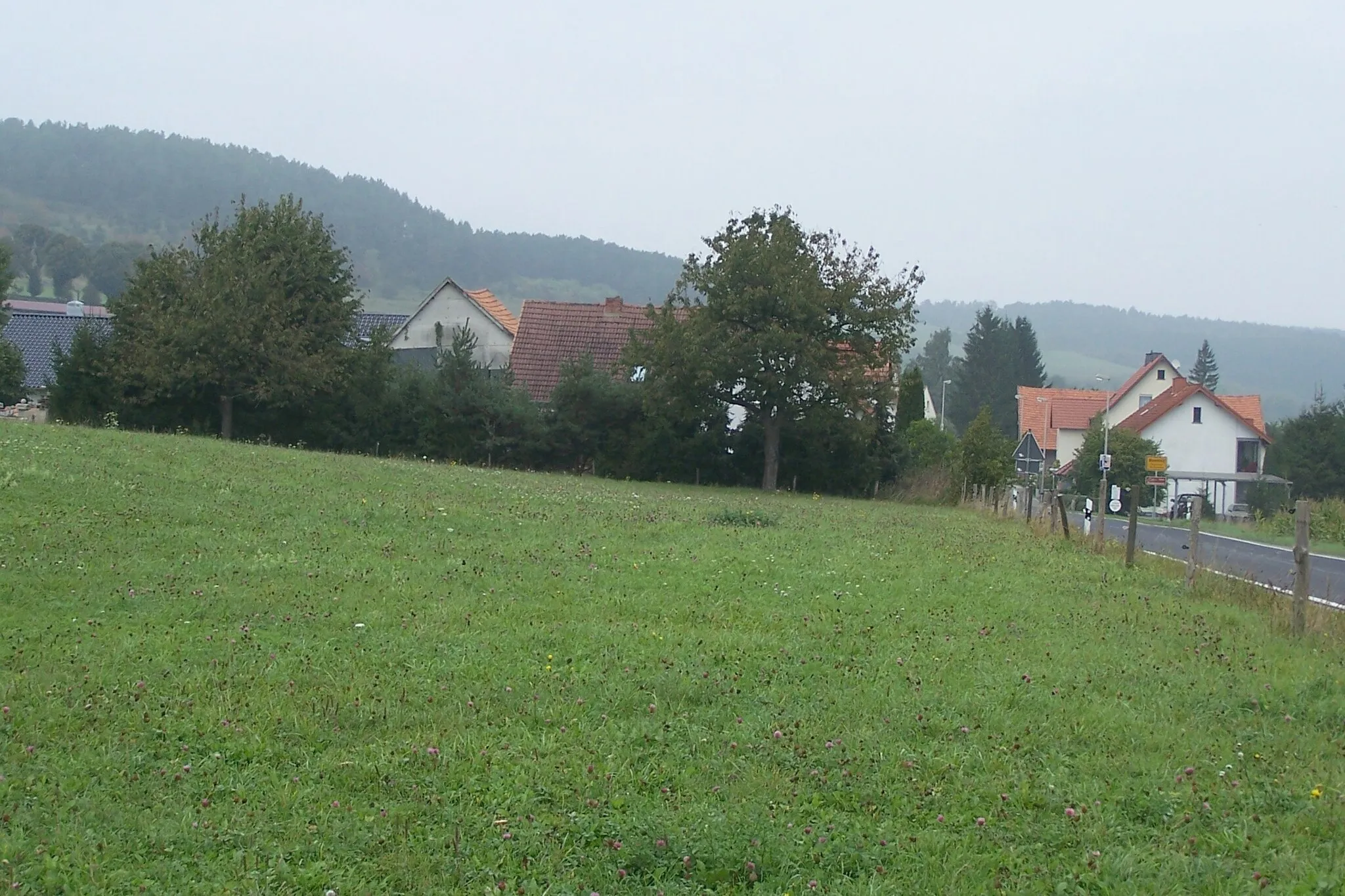 Photo showing: Blick auf Wiesenfeld bei Geisa.