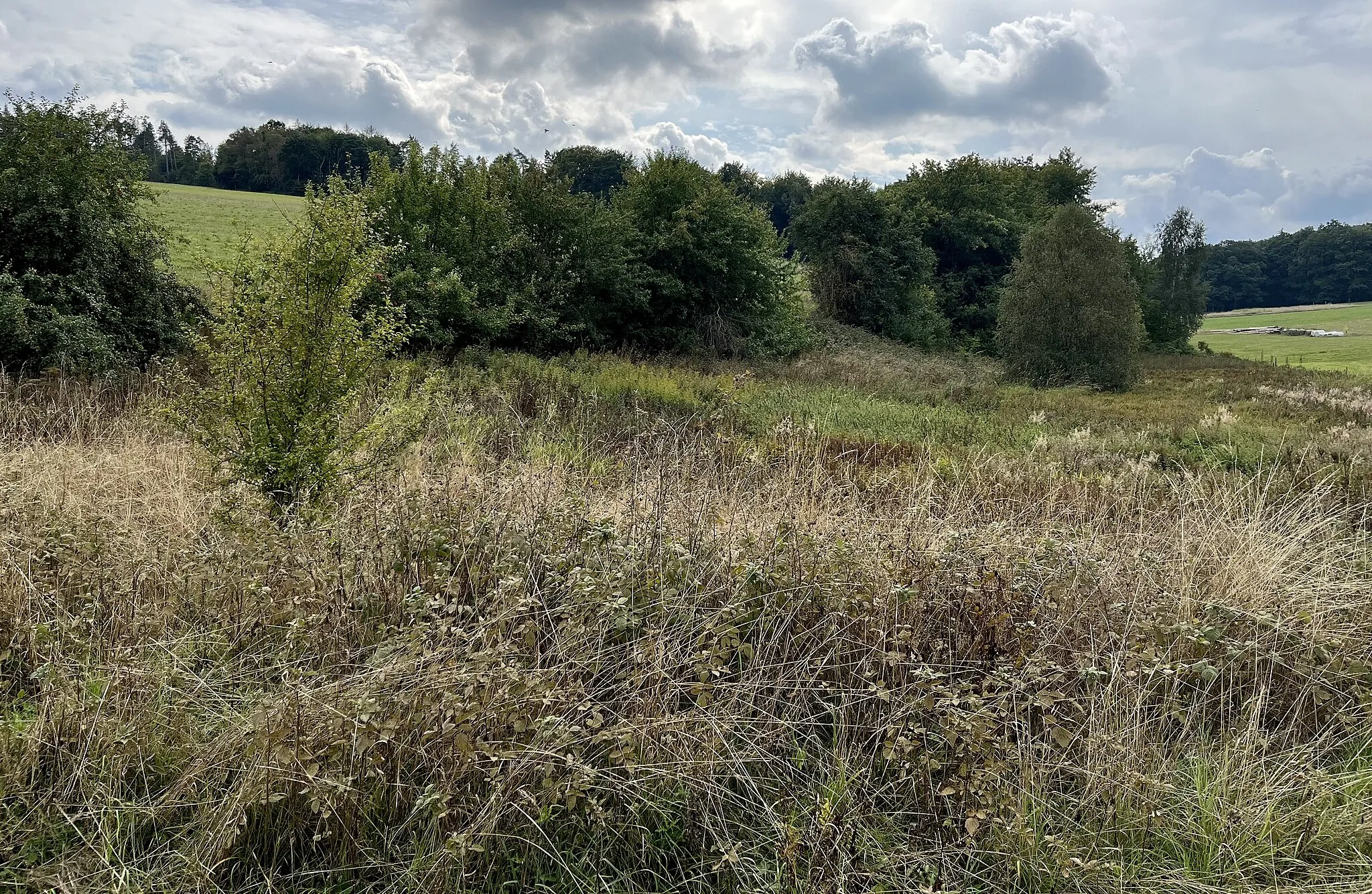 Photo showing: Flächenhaftes Naturdenkmal