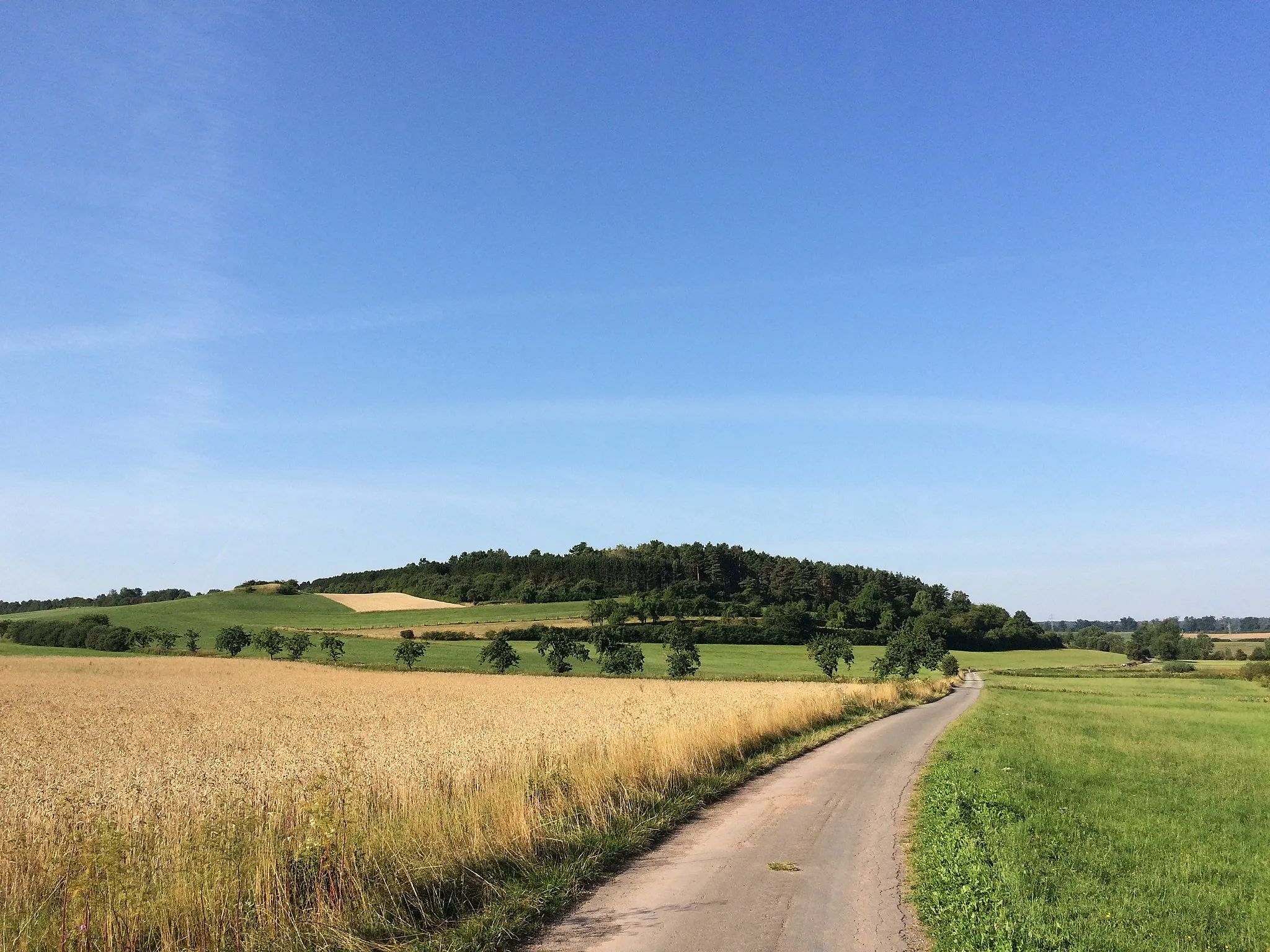 Photo showing: Der Volkmarser Weg (V) zwischen der Ippinghäuser Straße (L 3214) und dem Graner Berg auf der Straße "Am Tränkeweg"