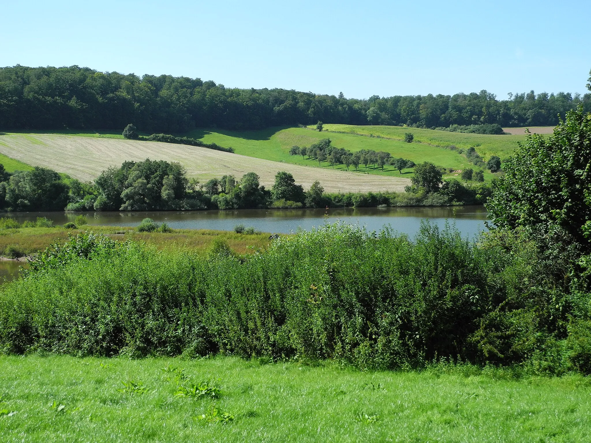 Photo showing: Naturschutzgebiet im Regierungsbezirk Kassel 1635008.
„Vorsperre - Twistetalsperre“, Wasserfläche mit Feuchtgebiet, umgebenden Gehölzen und Grünland am Lauf der Twiste, südlich des Twistesees, im Landkreis Waldeck-Frankenberg, Hessen, Deutschland.

Blick vom Nordosten, von der Karl-Staiber-Hütte, in das NSG.