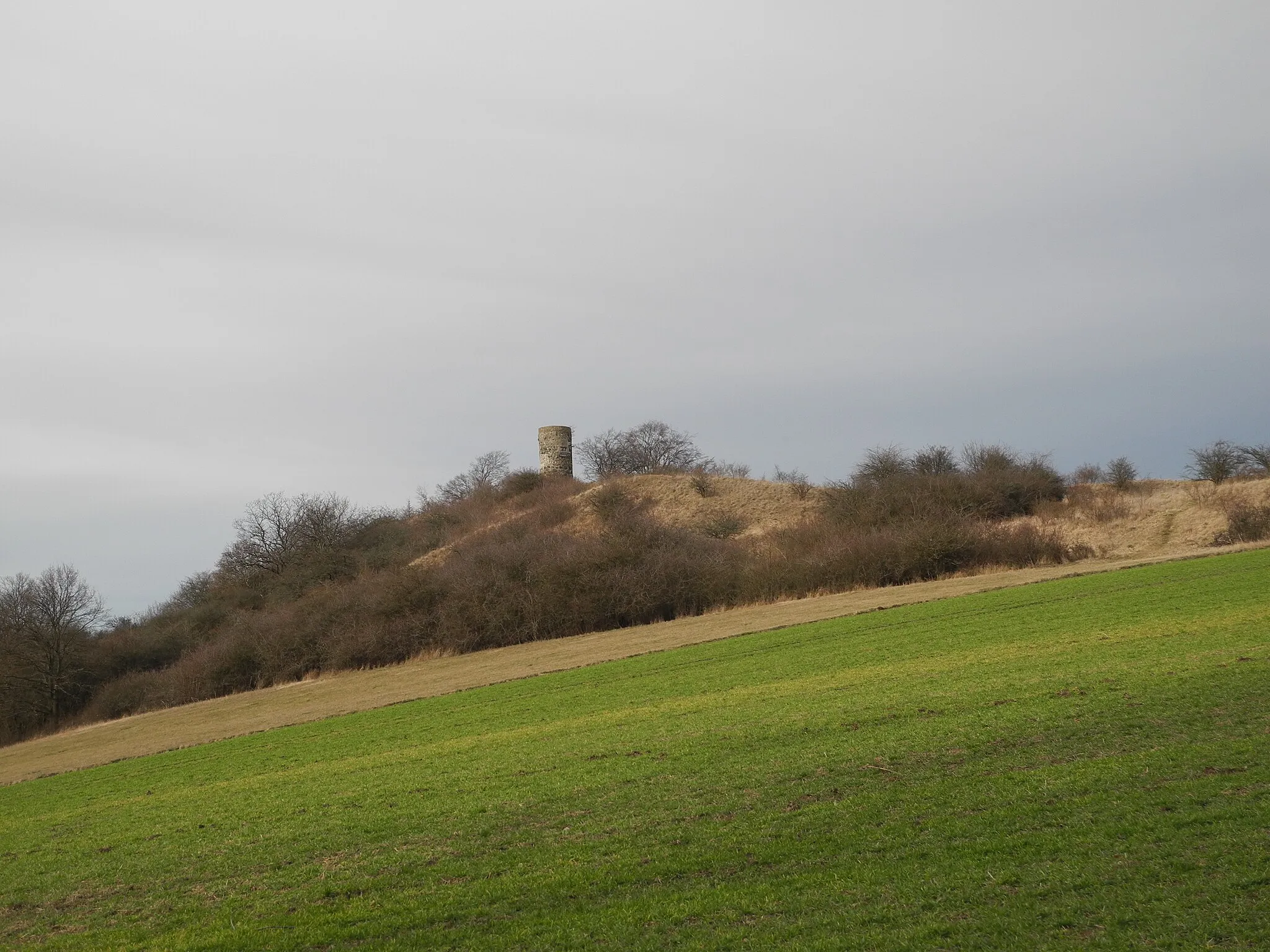 Photo showing: Flächenhaftes Naturdenkmal im Landkreis Kassel 6.33.916. „Basaltkuppe Die Warte“ nordwestlich von Zierenberg.