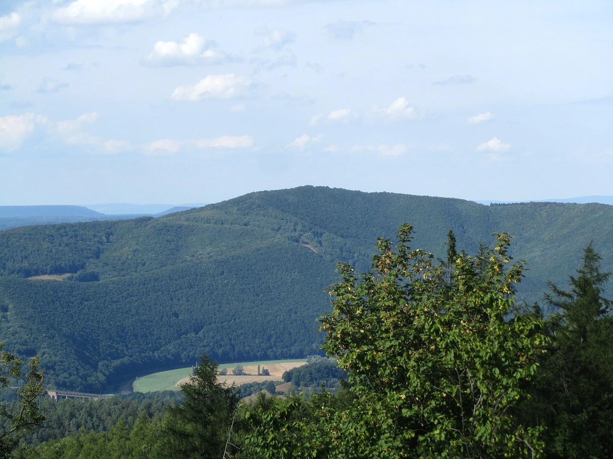 Photo showing: Blick vom Aussichtsturm auf dem Roßkopf im Soodener Bergland nach Norden zur Junkerkuppe (mit NSG Harthberg li, NSG Kelle-Teufelskanzel re), Eisenbahnbrücke bei Oberrieden im Werratal