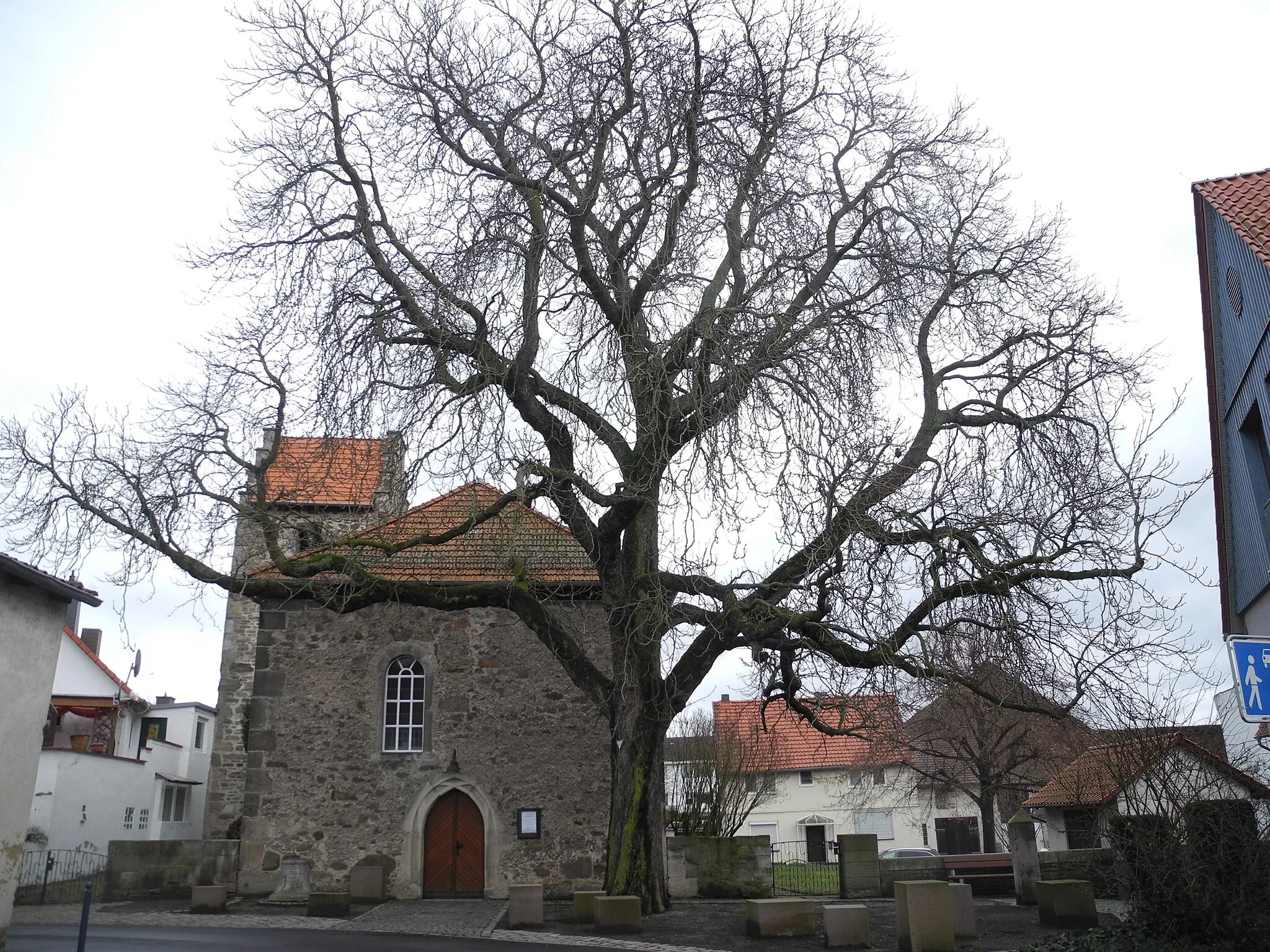 Photo showing: Naturdenkmal im Landkreis Kassel 6.33.801. Rosskastanie vor der Kirche in Frommershausen.