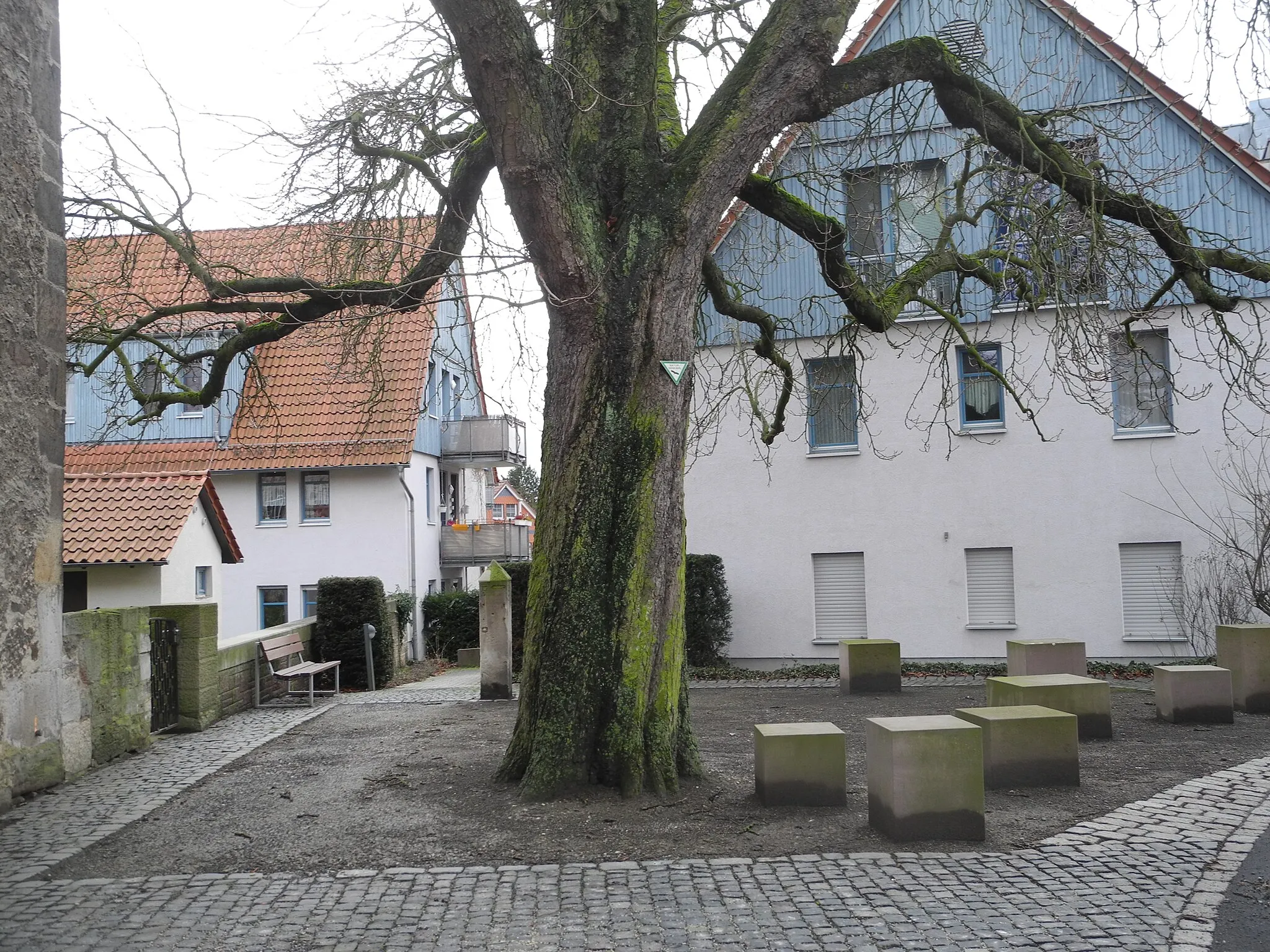 Photo showing: Naturdenkmal im Landkreis Kassel 6.33.801. Rosskastanie vor der Kirche in Frommershausen.