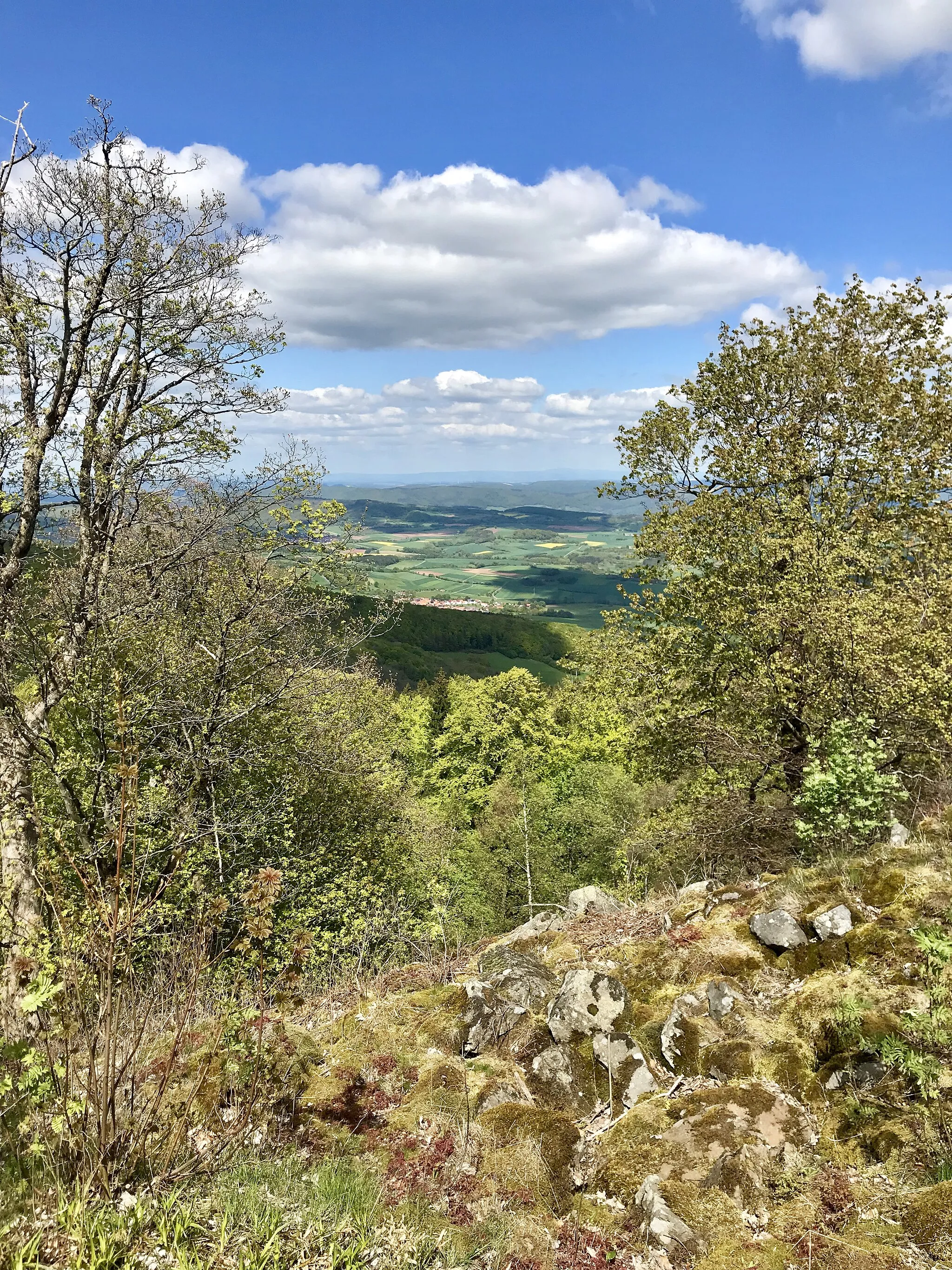 Photo showing: View from the mountain nature park Hoher Meißner near Kassel, Germany