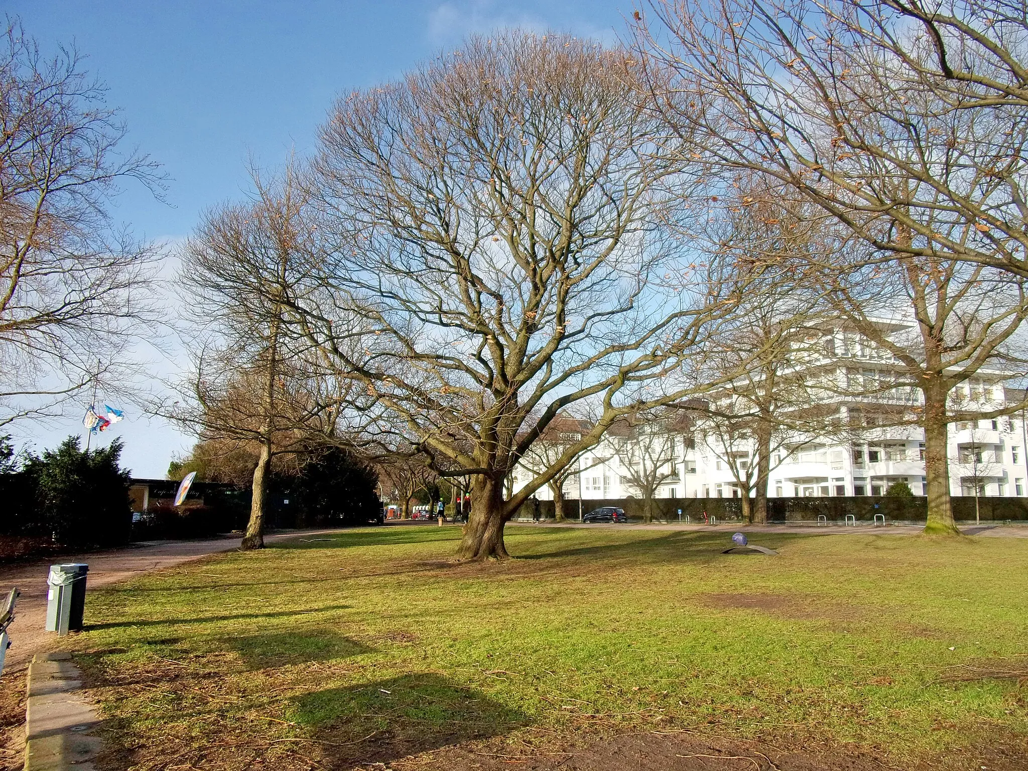 Photo showing: Schöne Aussicht in Hamburg-Uhlenhorst, Alsterpark.