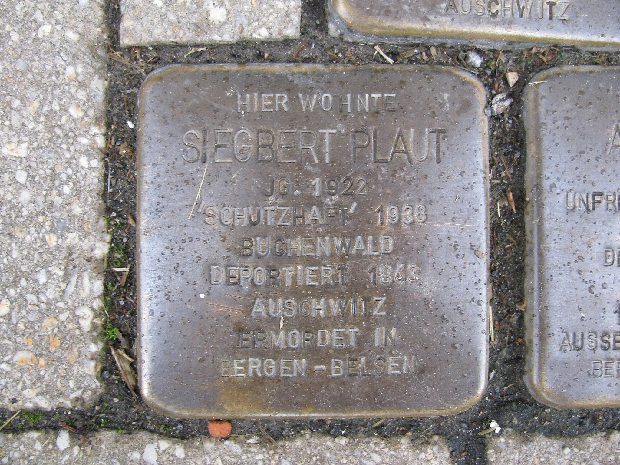Photo showing: der Stolperstein für Siegbert Plaut vor dem Haus Untere Straße 11 in Naumburg (Hessen)
