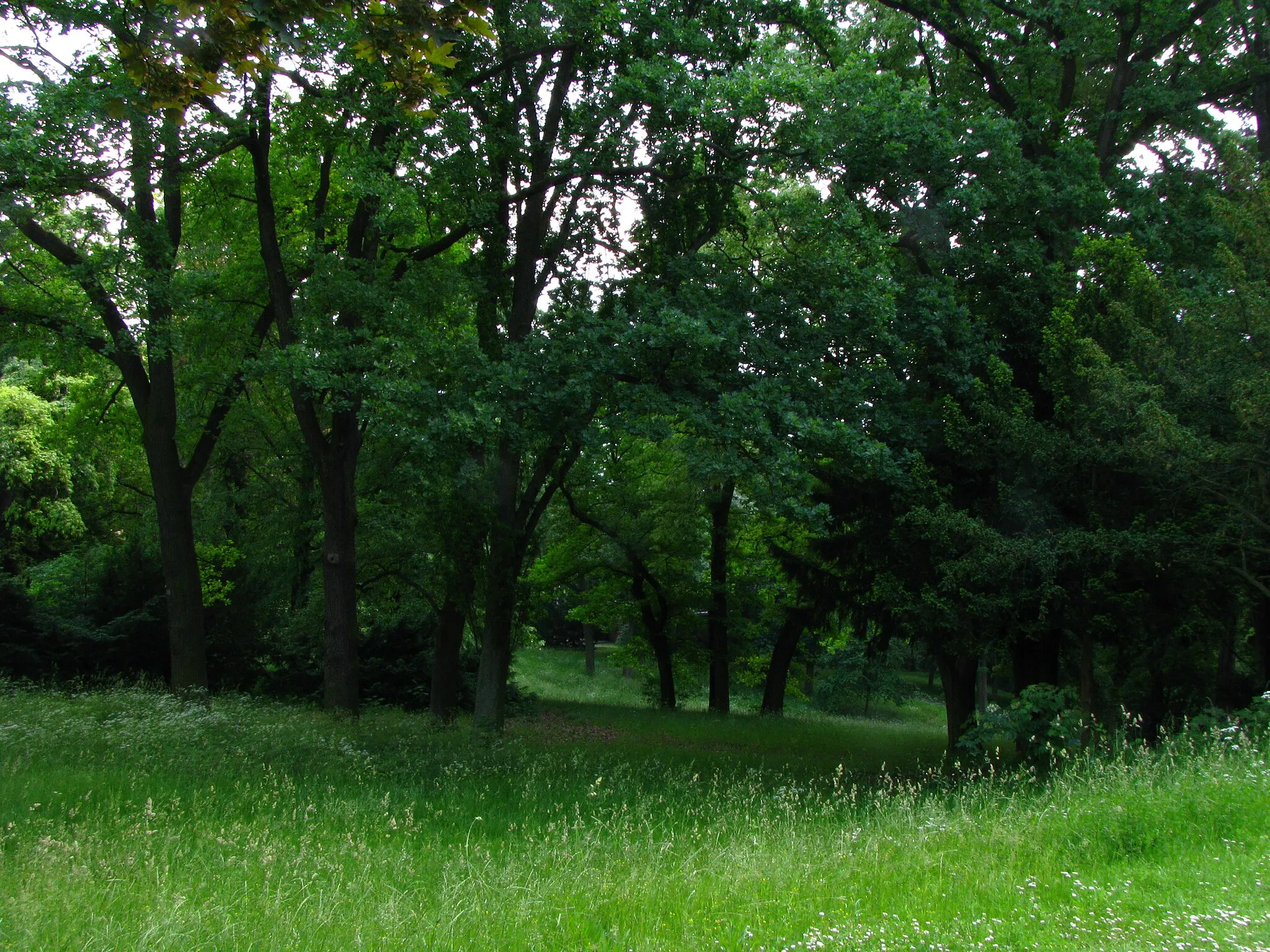 Photo showing: Blick vom höchsten Punkt im Aschrottpark auf den südöstlichen Hang