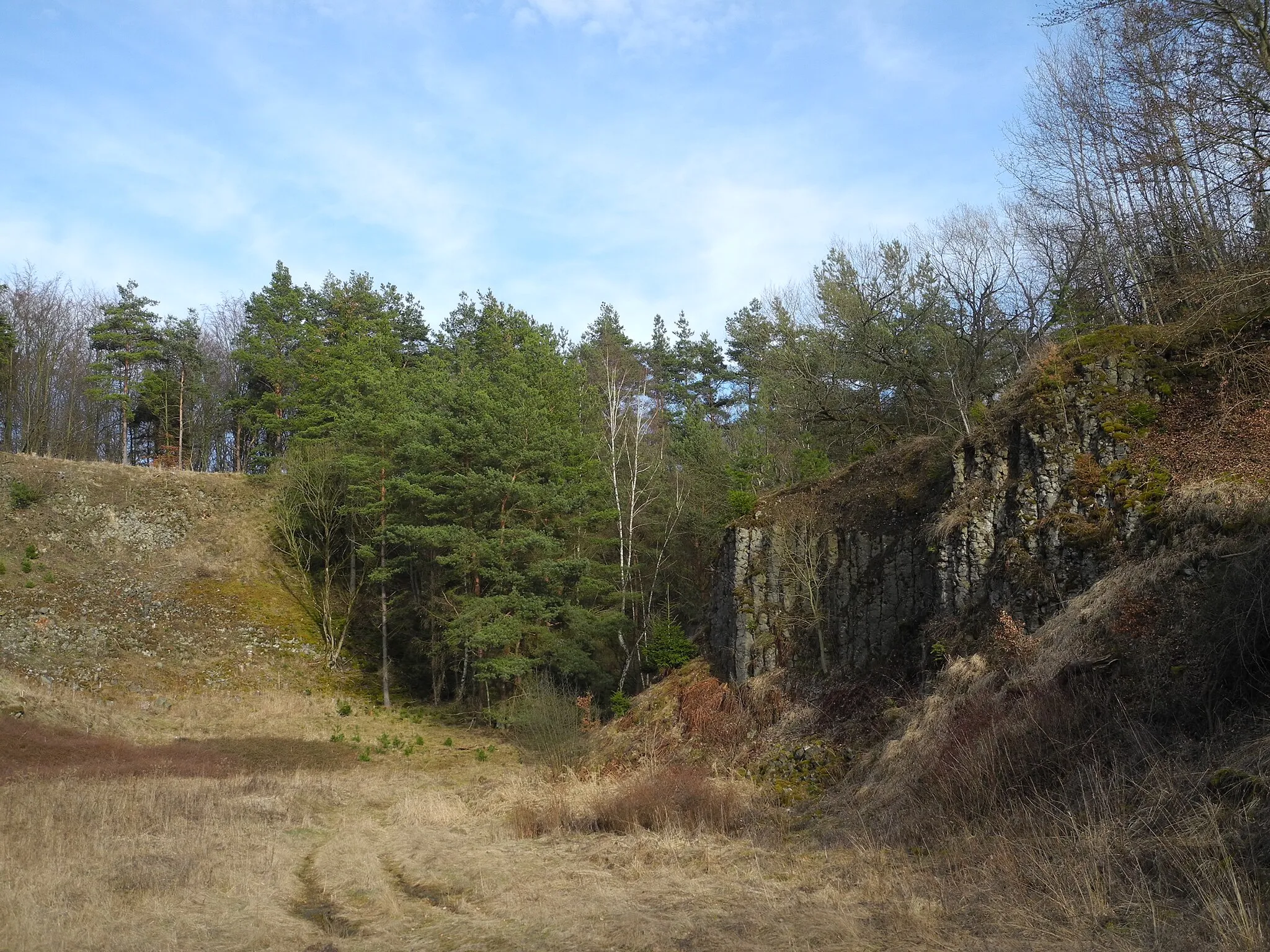 Photo showing: Flächenhaftes Naturdenkmal im Landkreis Kassel 6.33.887. Teilfläche ehemaliger Steinbruch „Schierenkopf“ westlich von Wolfhagen.