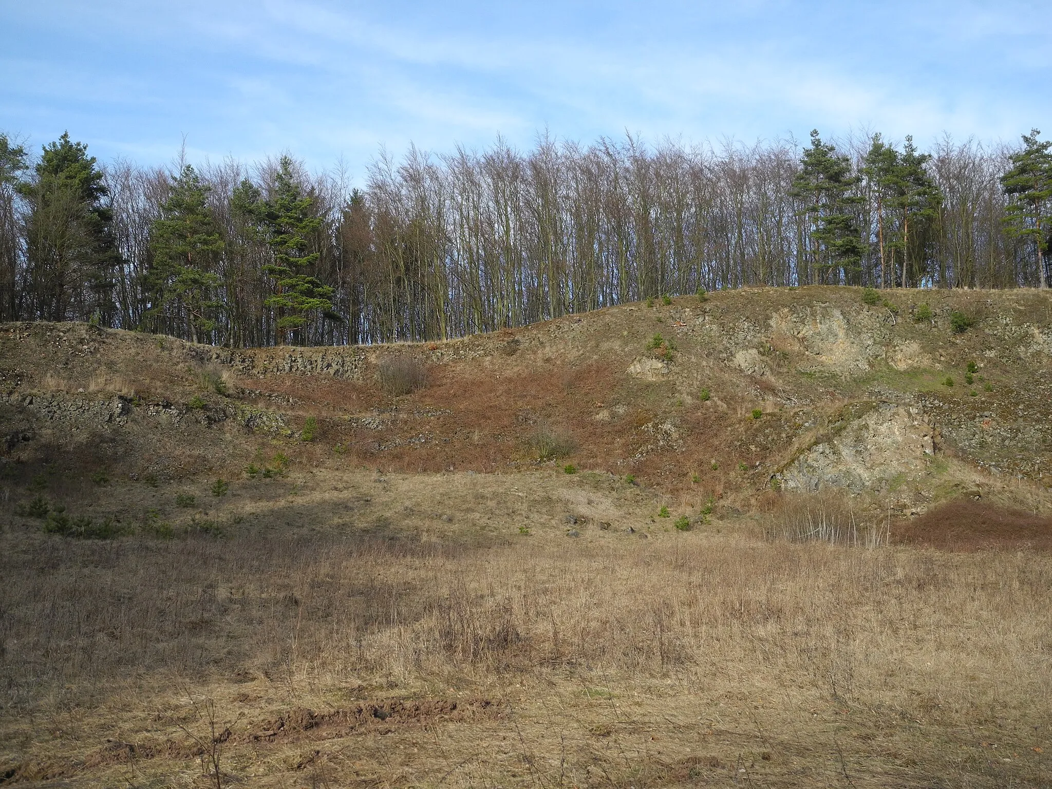 Photo showing: Flächenhaftes Naturdenkmal im Landkreis Kassel 6.33.887. Teilfläche ehemaliger Steinbruch „Schierenkopf“ westlich von Wolfhagen.