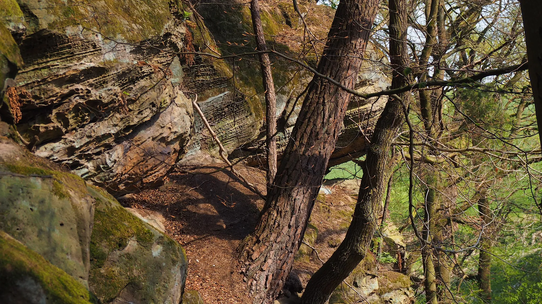 Photo showing: Hollenkammer bei Lütersheim, Naturdenkmal in Volkmarsen