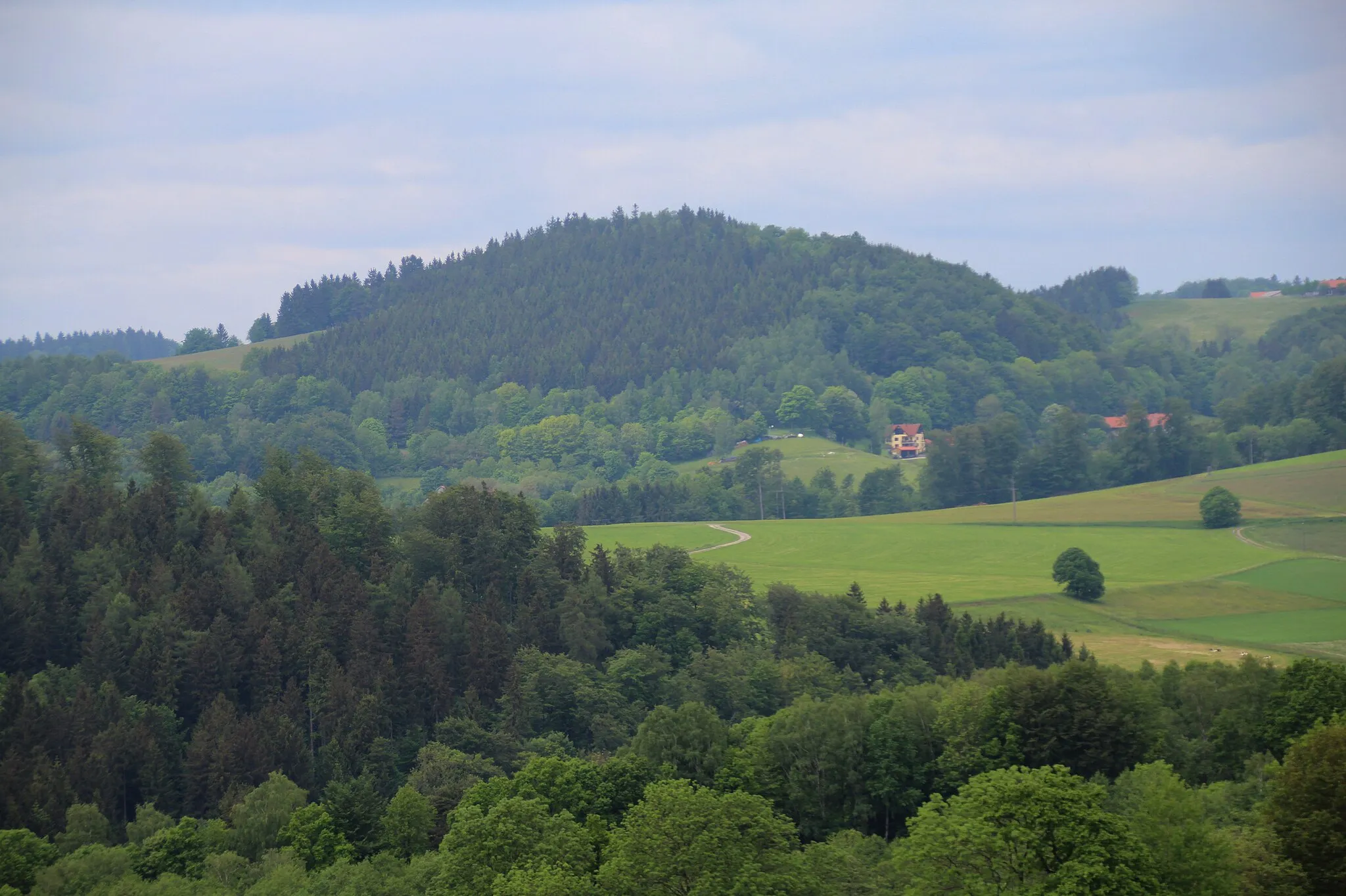 Photo showing: Stark gezoomter Blick von Farnlieden (zwischen Poppenhausen und Heckenhöfchen) etwa nordwärts zum Teufelstein, Milseburger Kuppenrhön