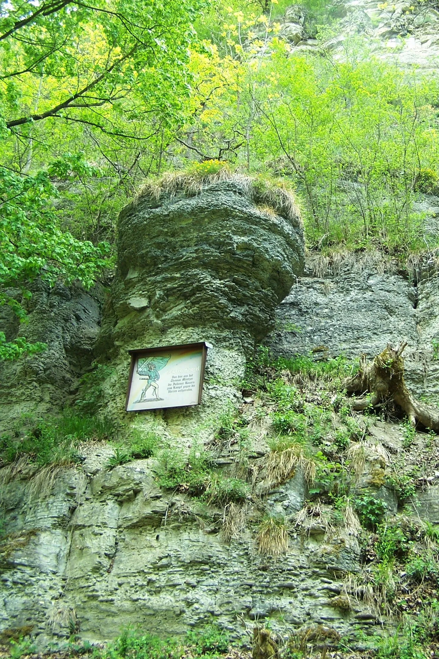 Photo showing: Die sogenannte Bauernkanzel bei Probsteizella in den Falkener Klippen. Nach der in der DDR-Zeit (Anlass: Bauernkriegsjubiläum) vertretenen These predigte dort der revolutionäre Prediger Thomas Müntzer vor aufständischen Bauern aus dem Werratal.