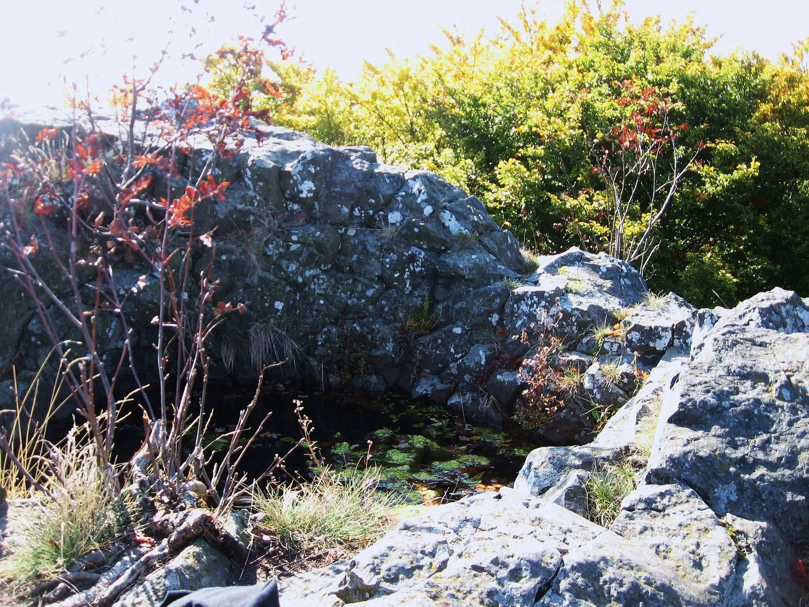 Photo showing: Germany / North / Hesse: mountain "Hohlestein" near Kassel