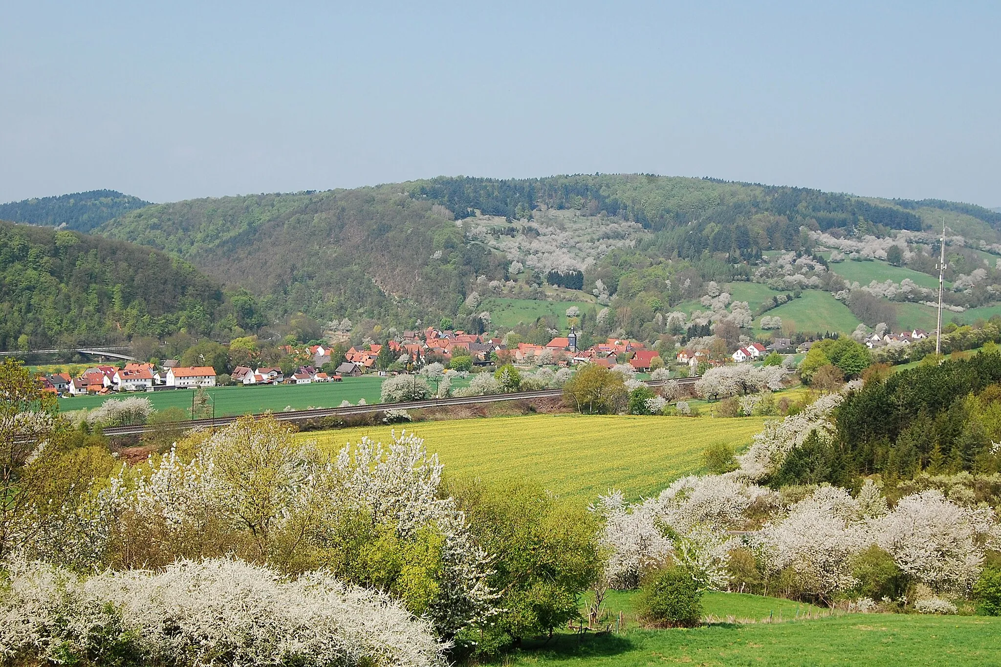 Photo showing: Werleshausen während der Kirschblüte (mit der Eisenbahnstrecke Göttingen-Bebra und der Ebenhöhe im Hintergrund)