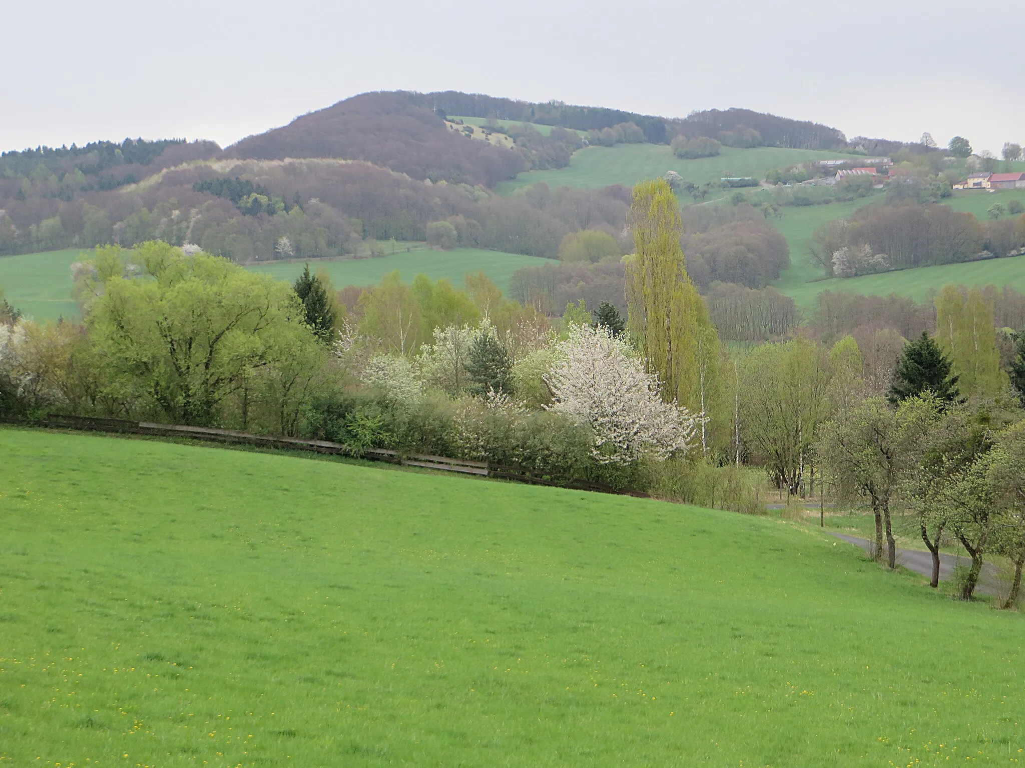 Photo showing: Blick vom Weinberg bei Dietershausen ostsüdostwärts zum Giebelrain. Milseburger Kuppenrhön, Landkreis Fulda